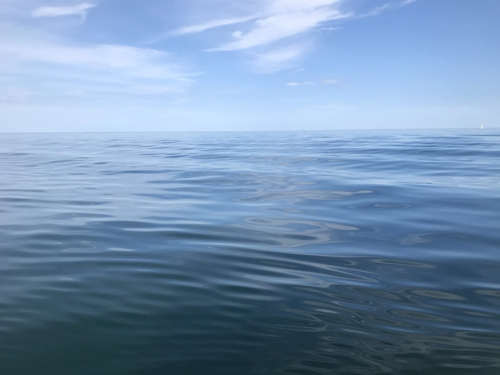 IMG_4177 (1).jpeg