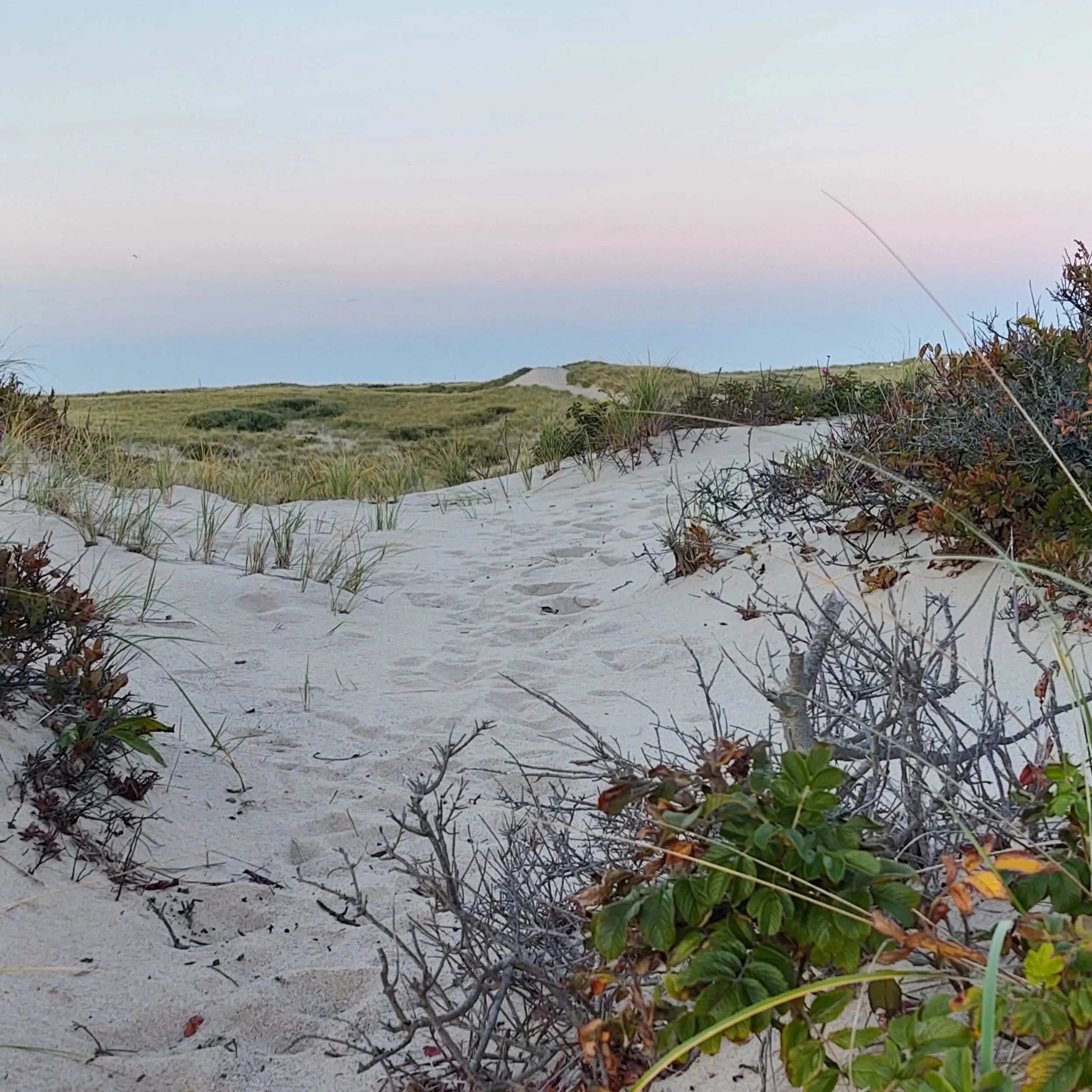 sky ocean and sand dunes