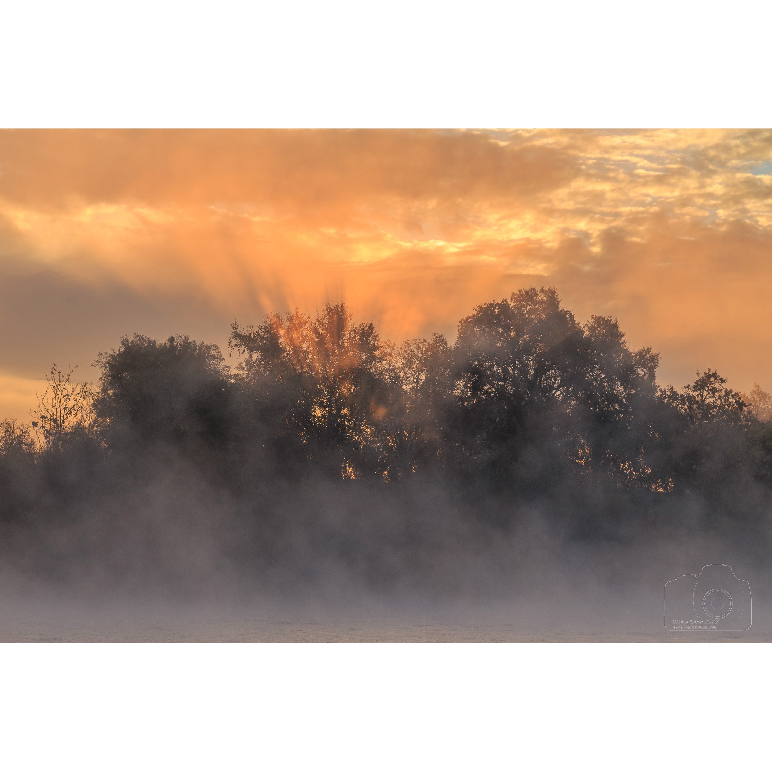 Sunrise, fog, American River