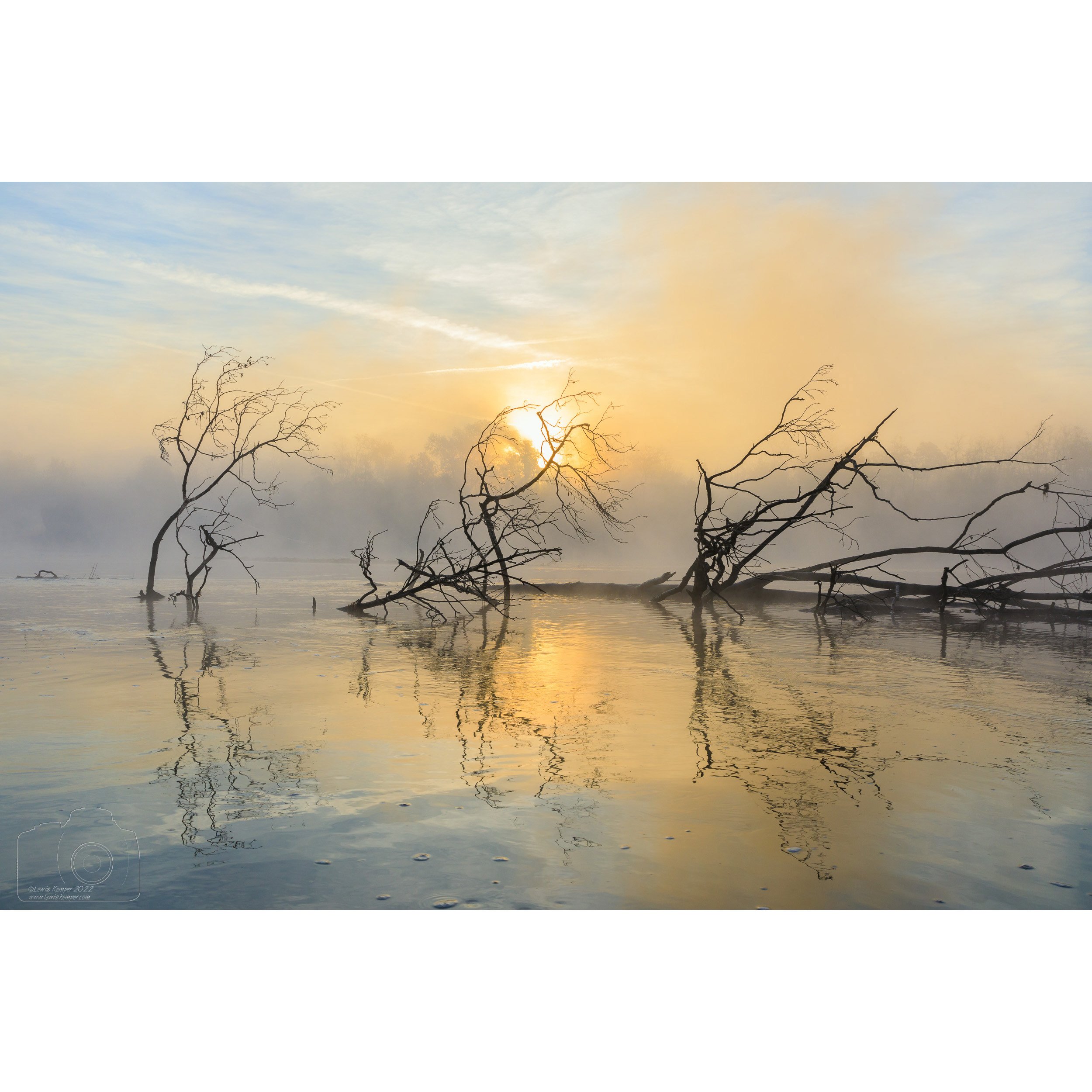 Submerged Tree, sunrise