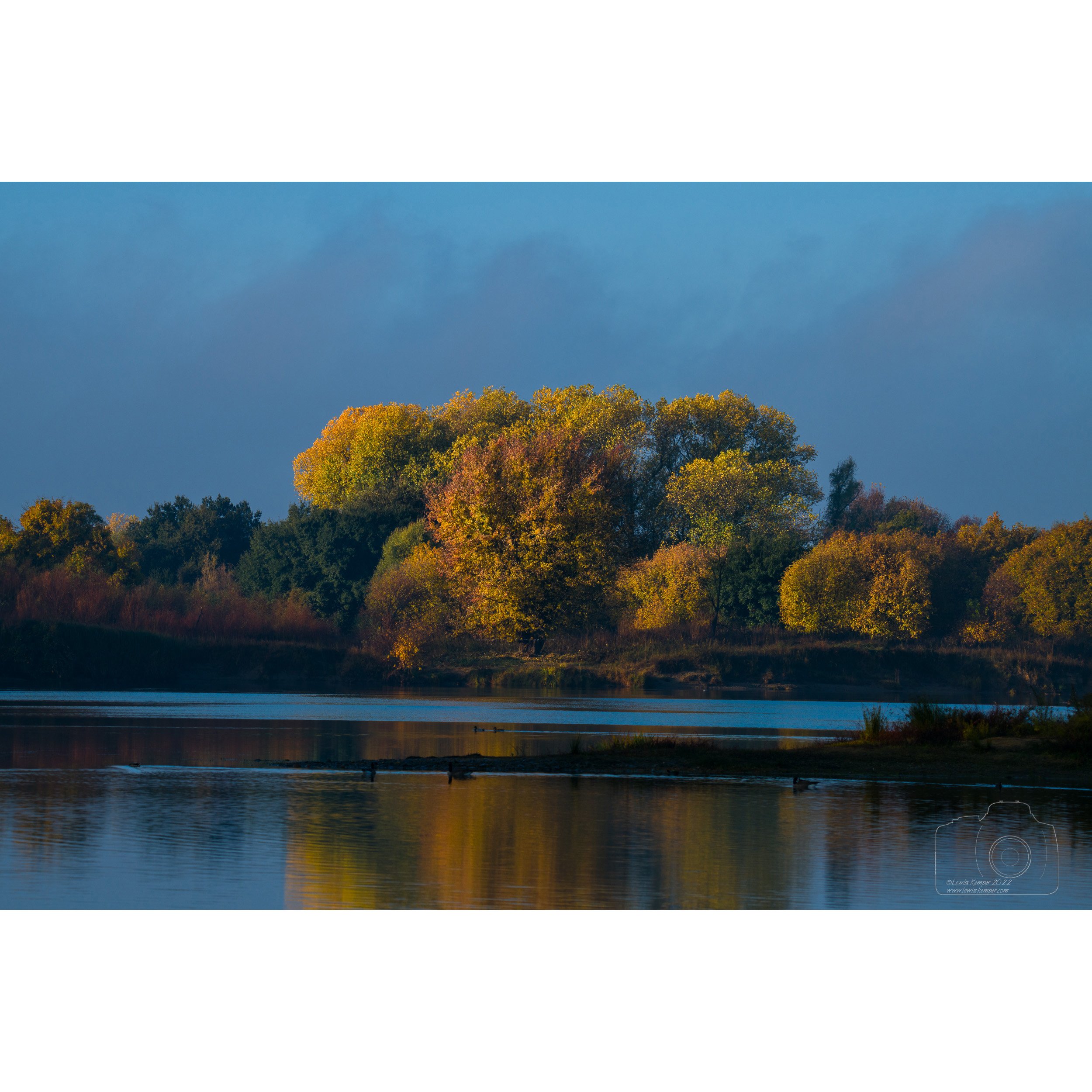 Morning Light, Cottonwoods