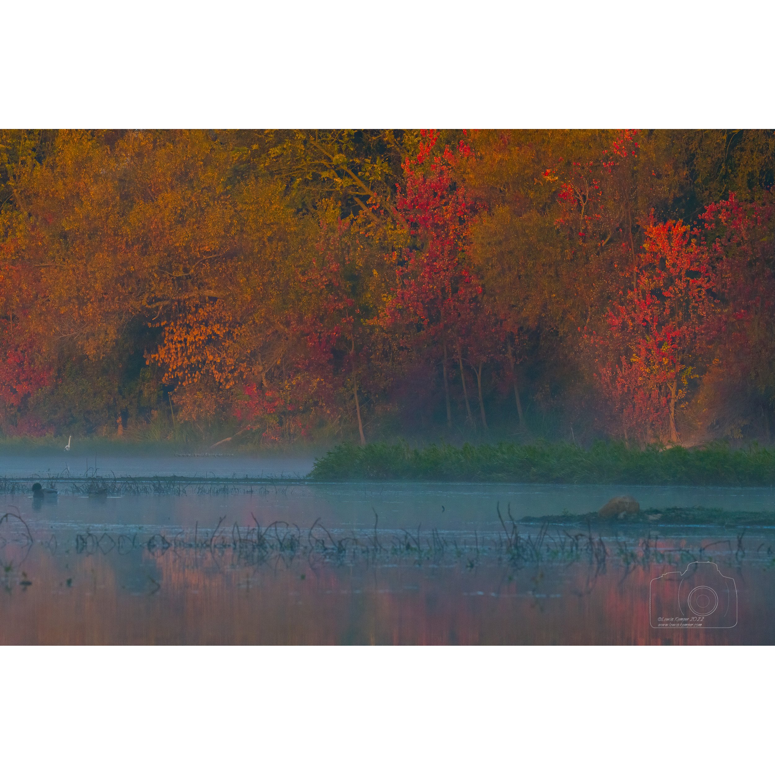 Autumn Color
