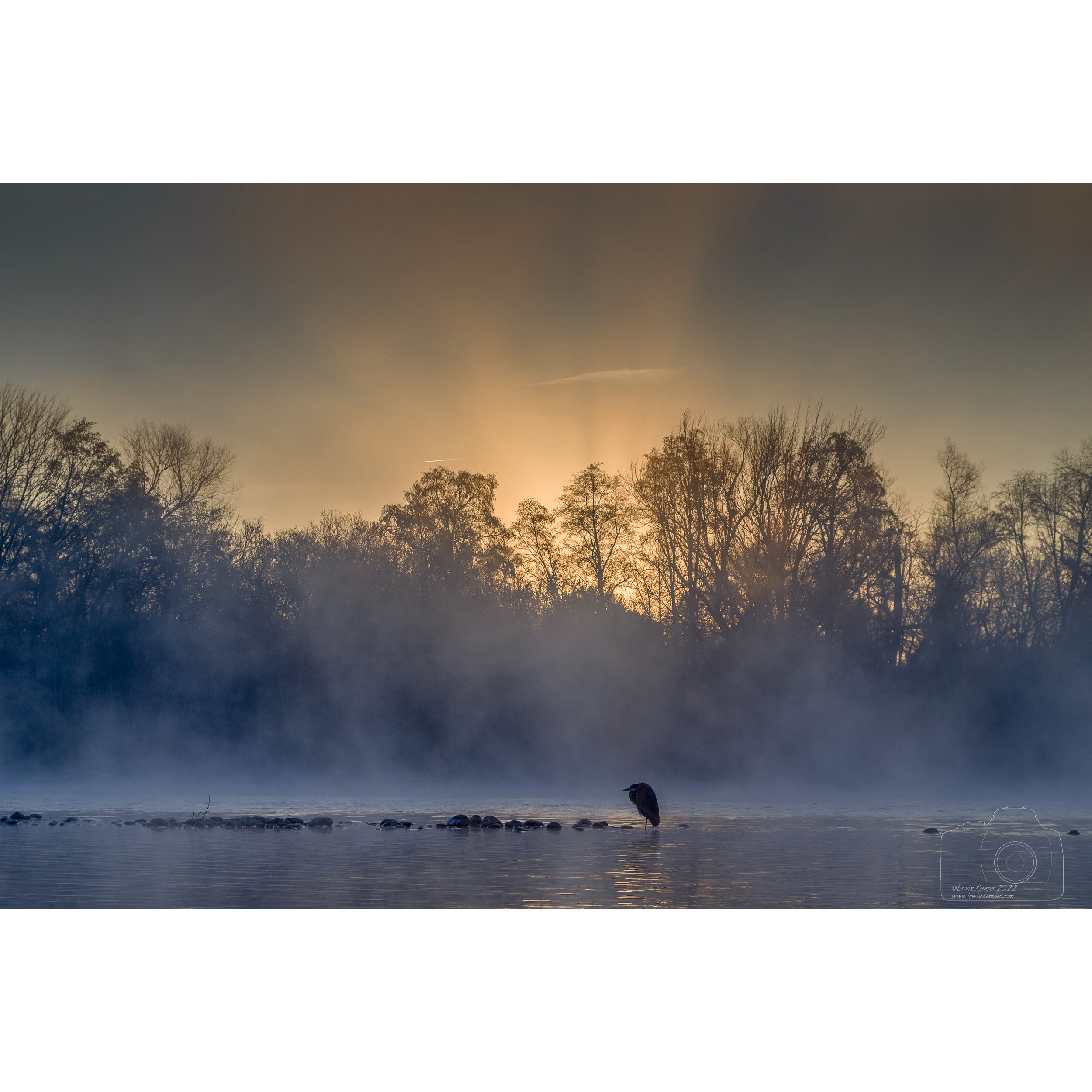 Sunrise, Great Blue Heron