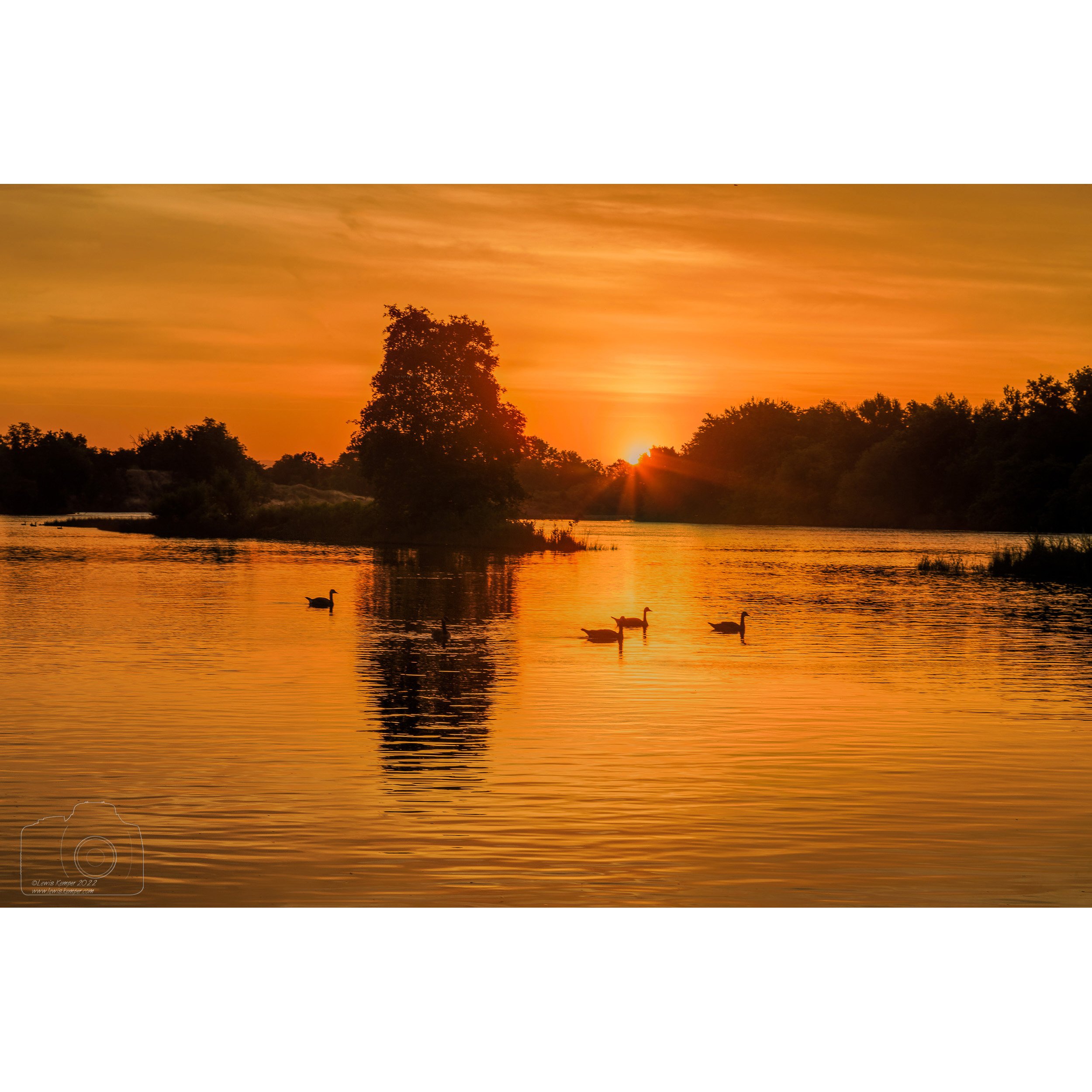 Sunrise and geese