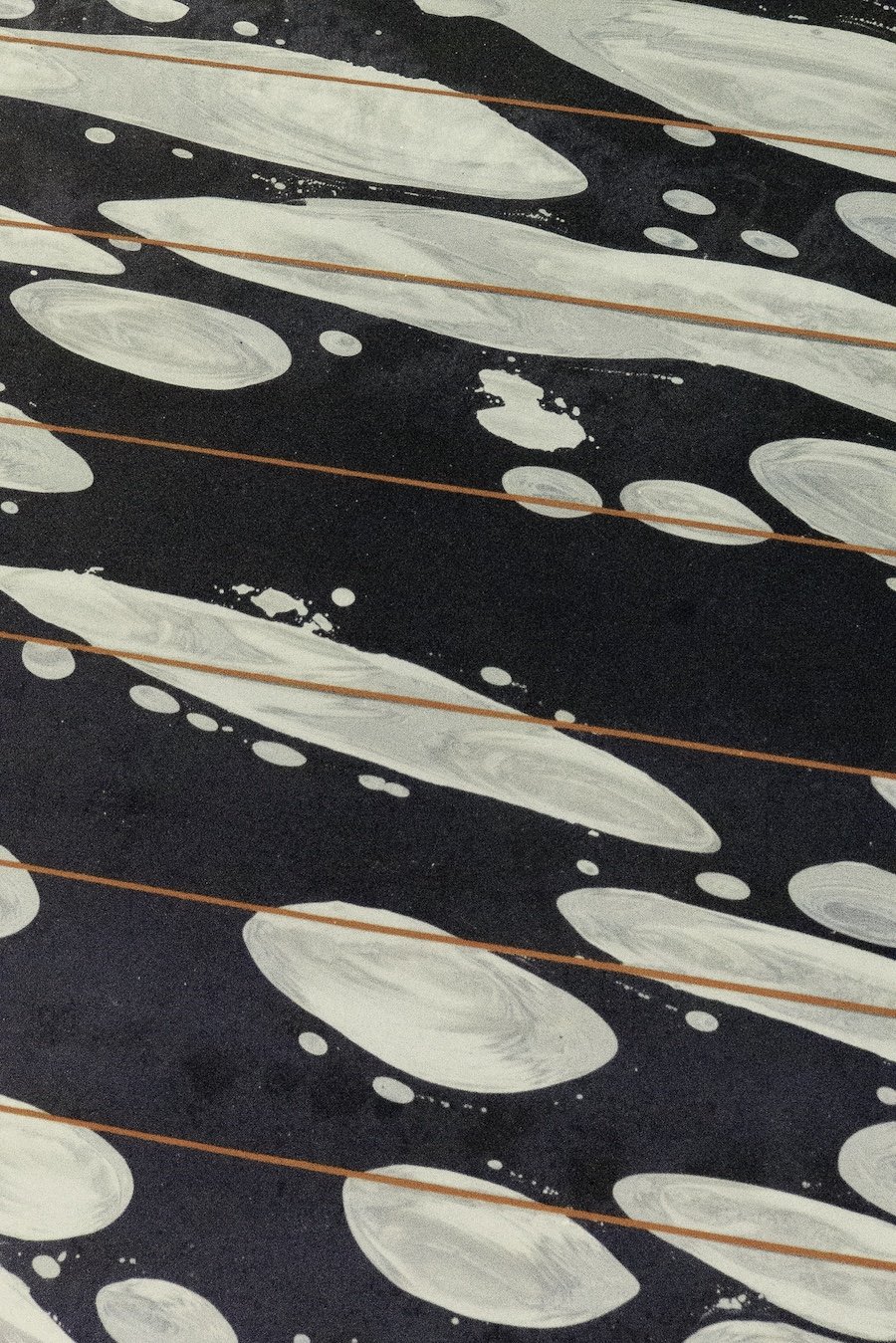 L1130719.copy copy.jpg