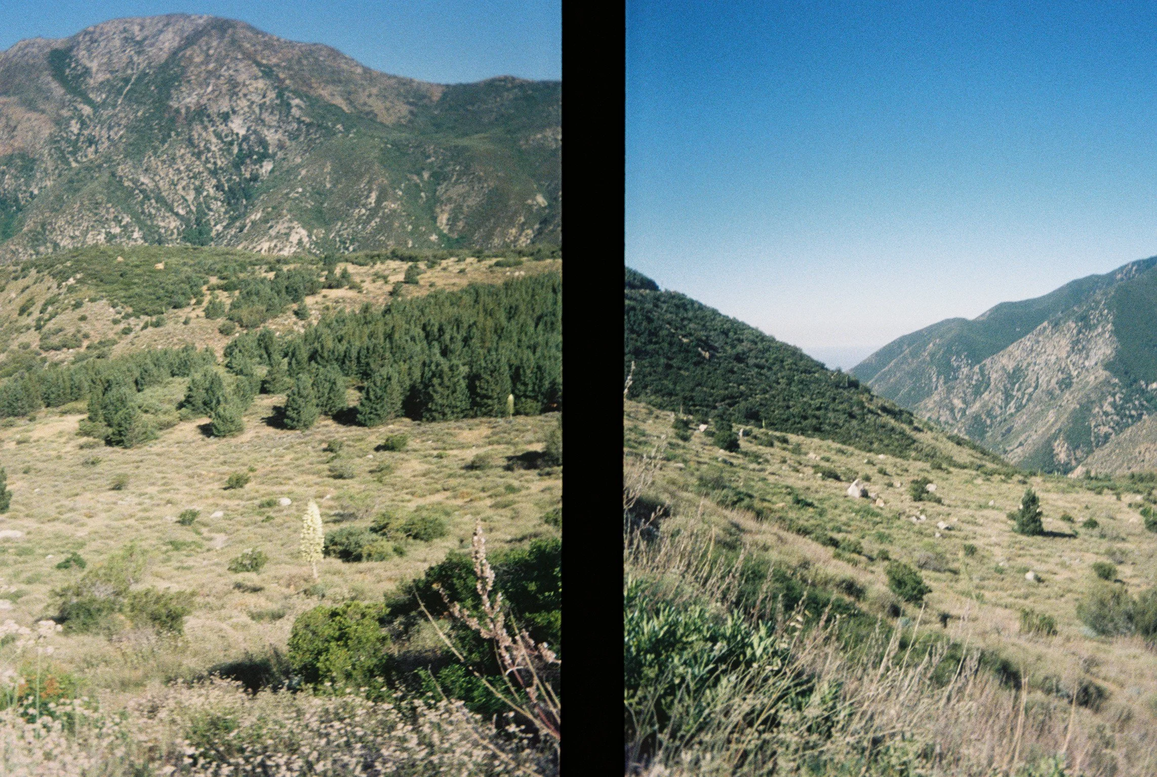 land25.jpg