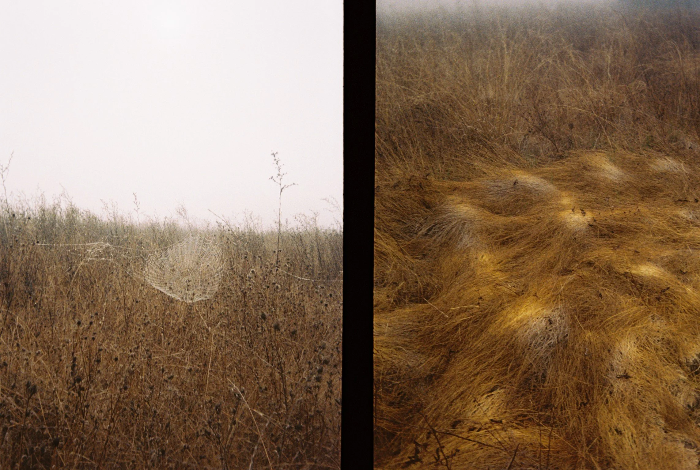 _#89.jpg
