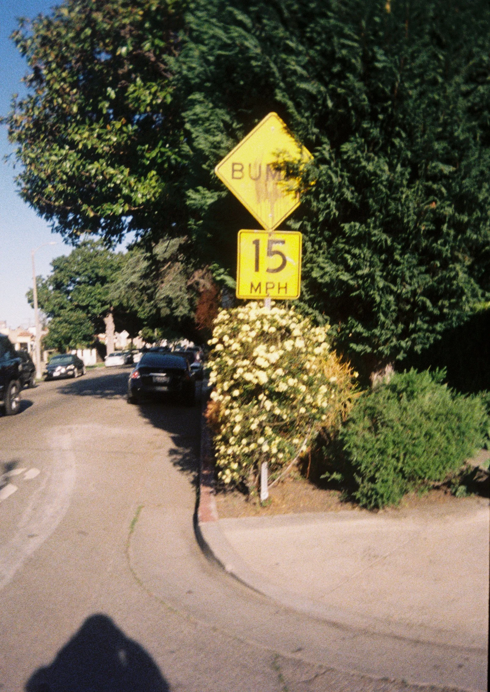 to6.jpg
