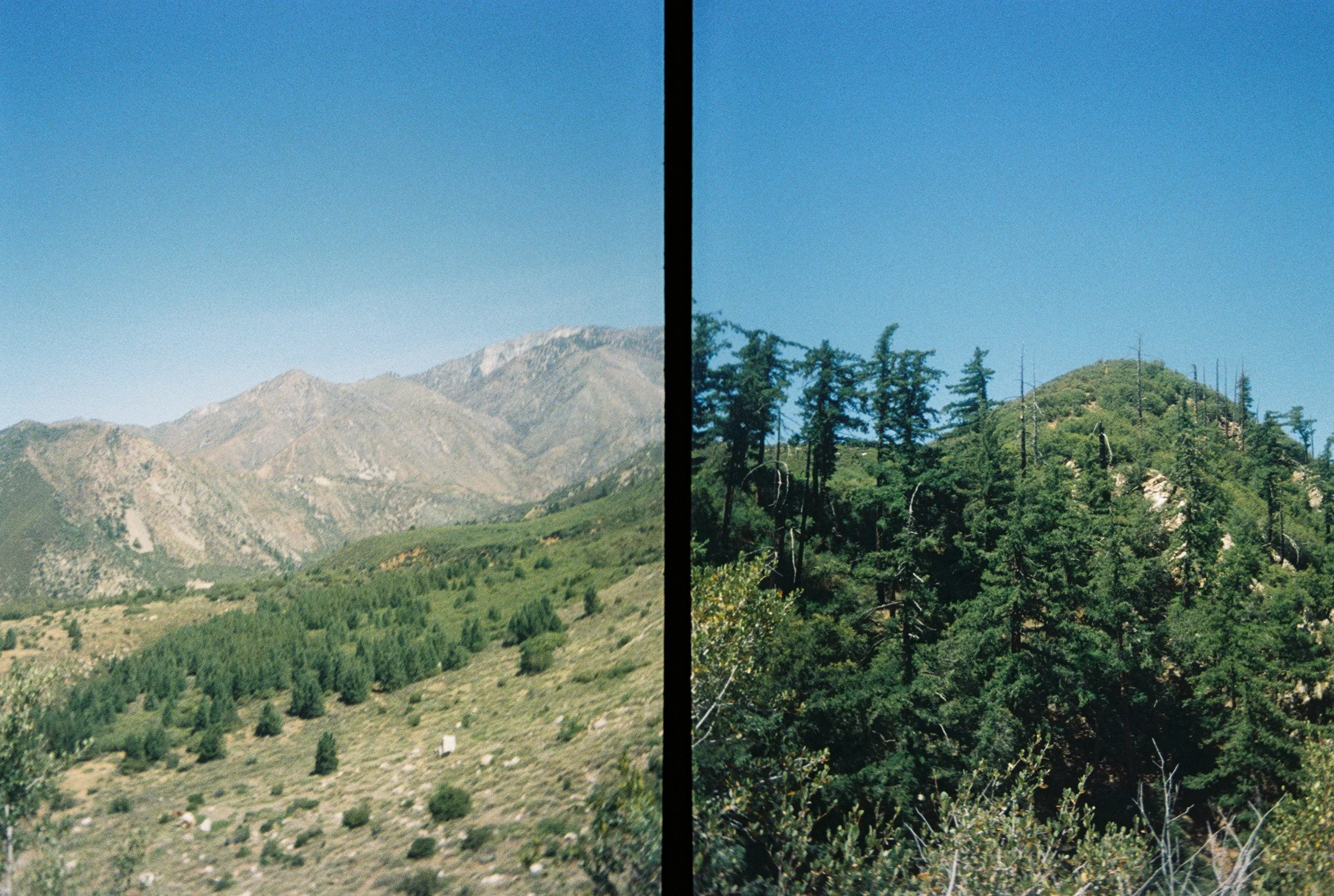 land21.jpg