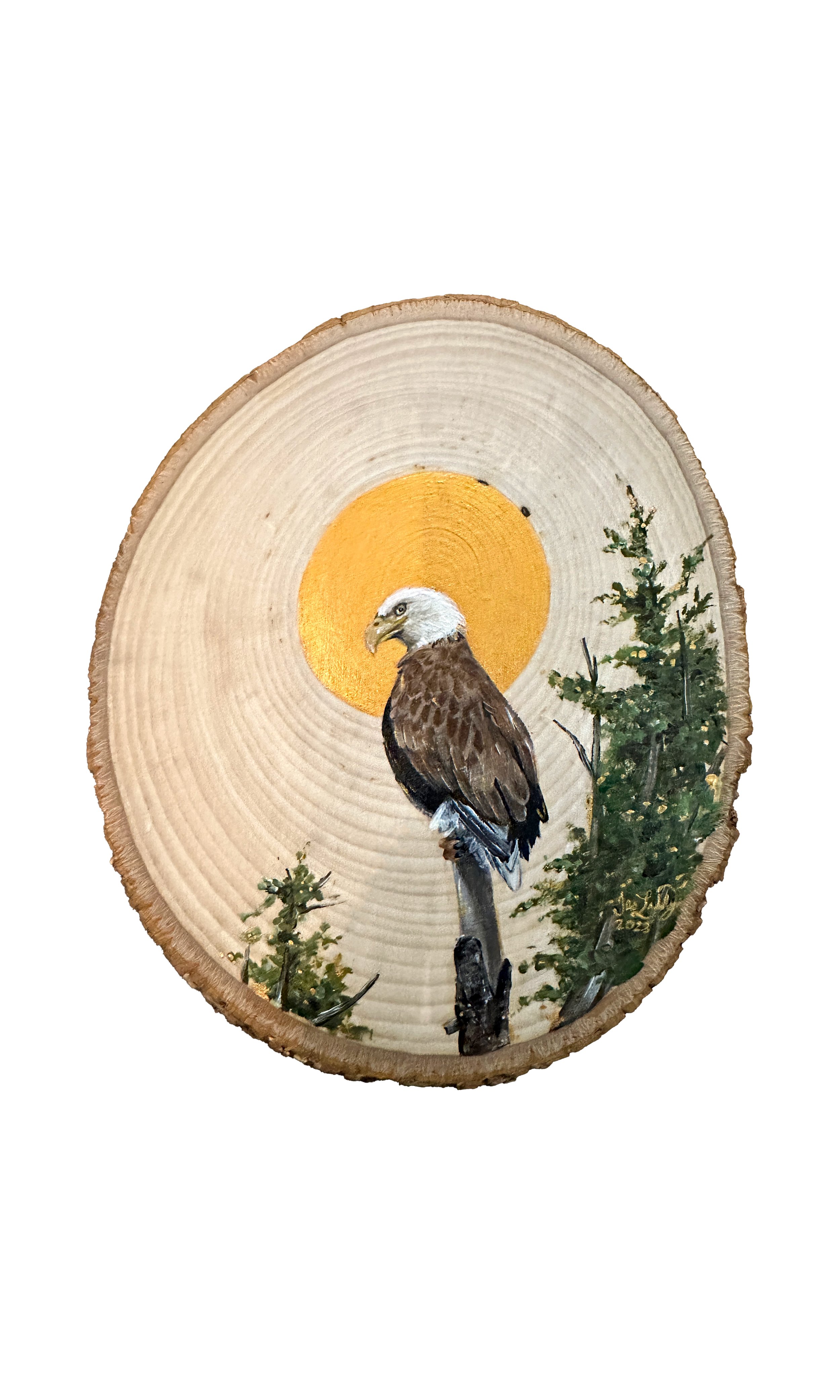 Eagle 2 Edit Jes Image Wood - Jes Lilly.jpg