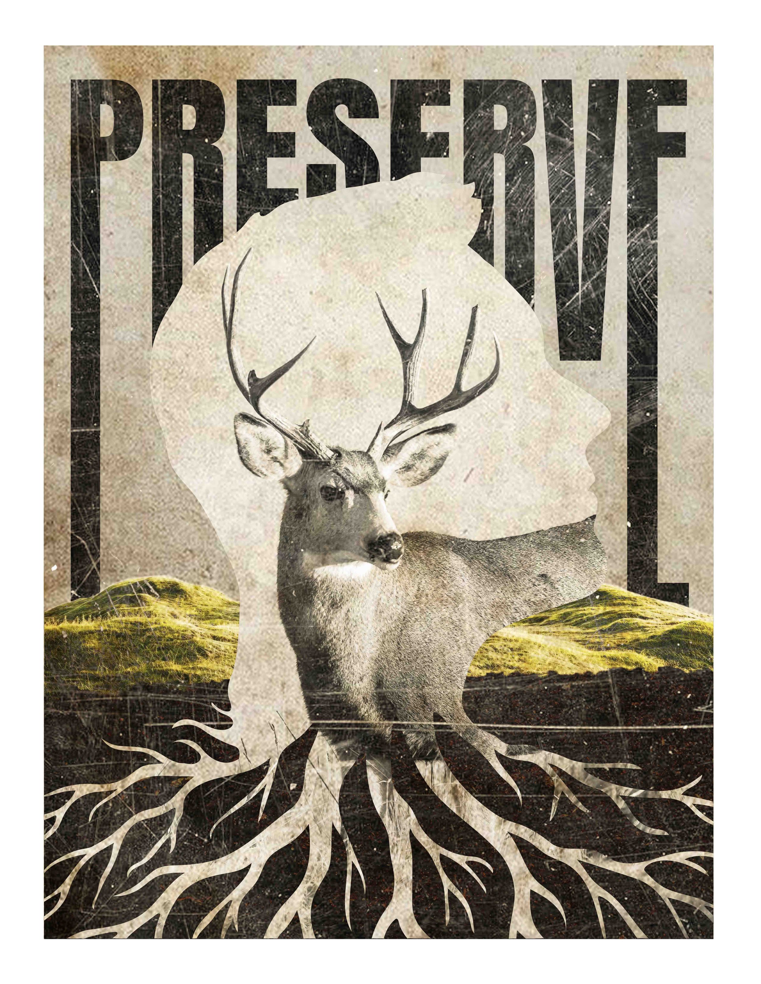 Rooted Echoes