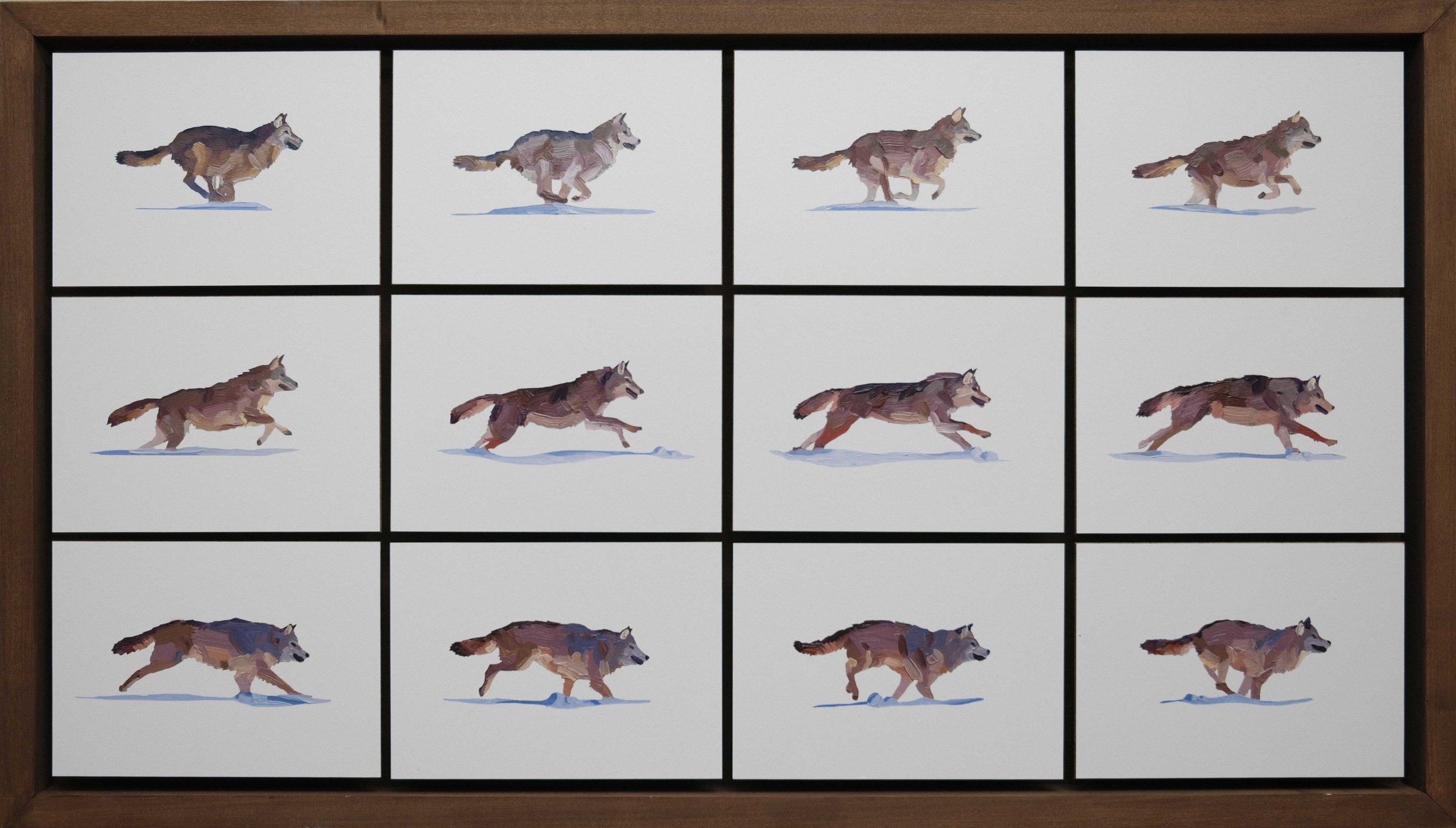 Wolf Run Cycle