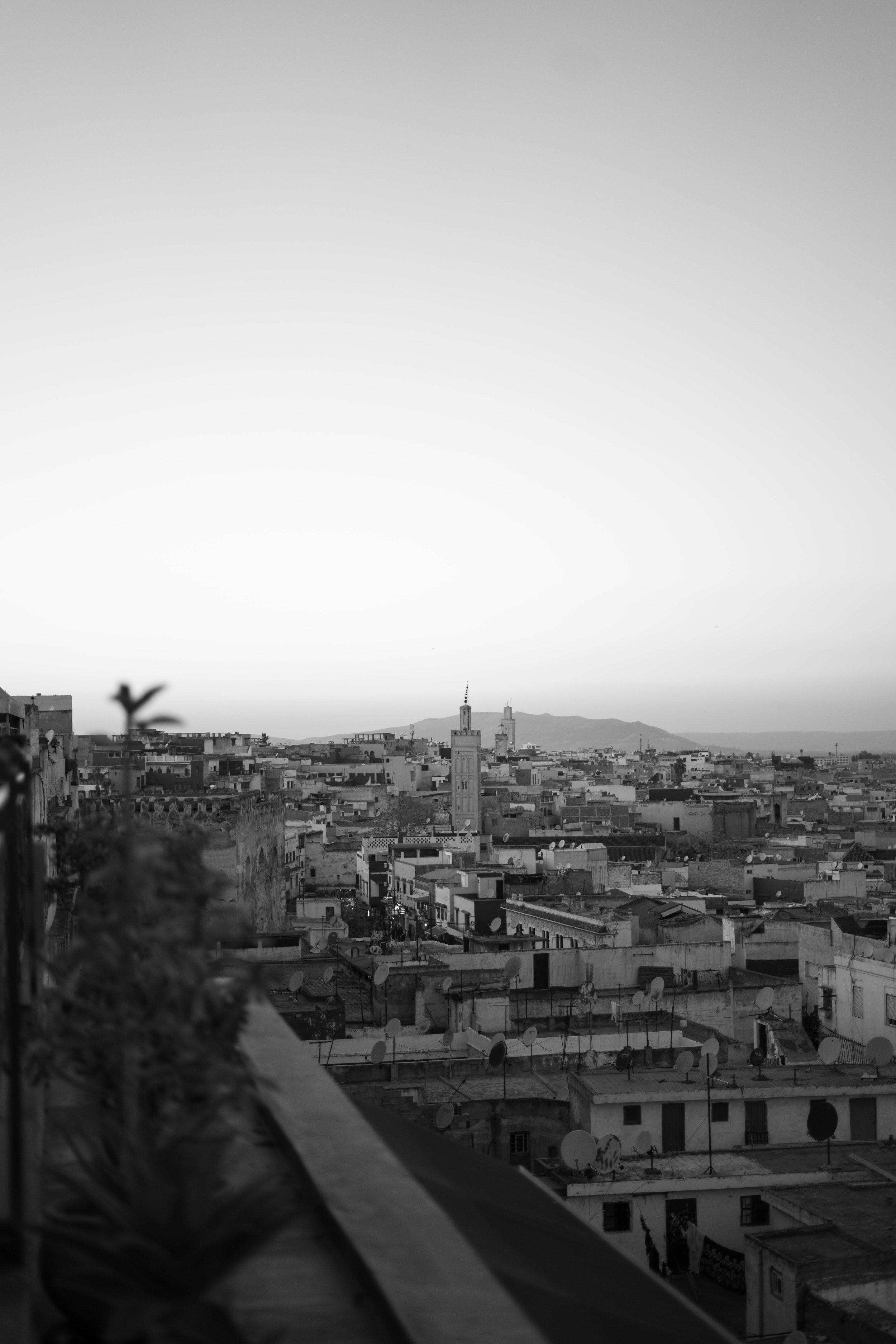“Familiarity” - Rabat, Morocco. January 2023. 