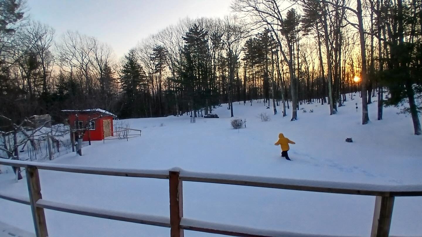 February = reset mode. From snow boots to sandy feet. Blurry nights. Devoured books. Sharpened systems. Efficient snacks.