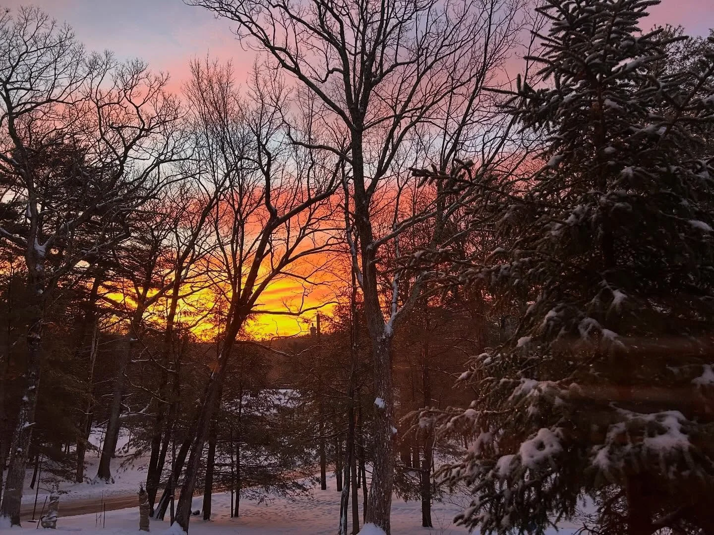 March = leaning into color + contrast