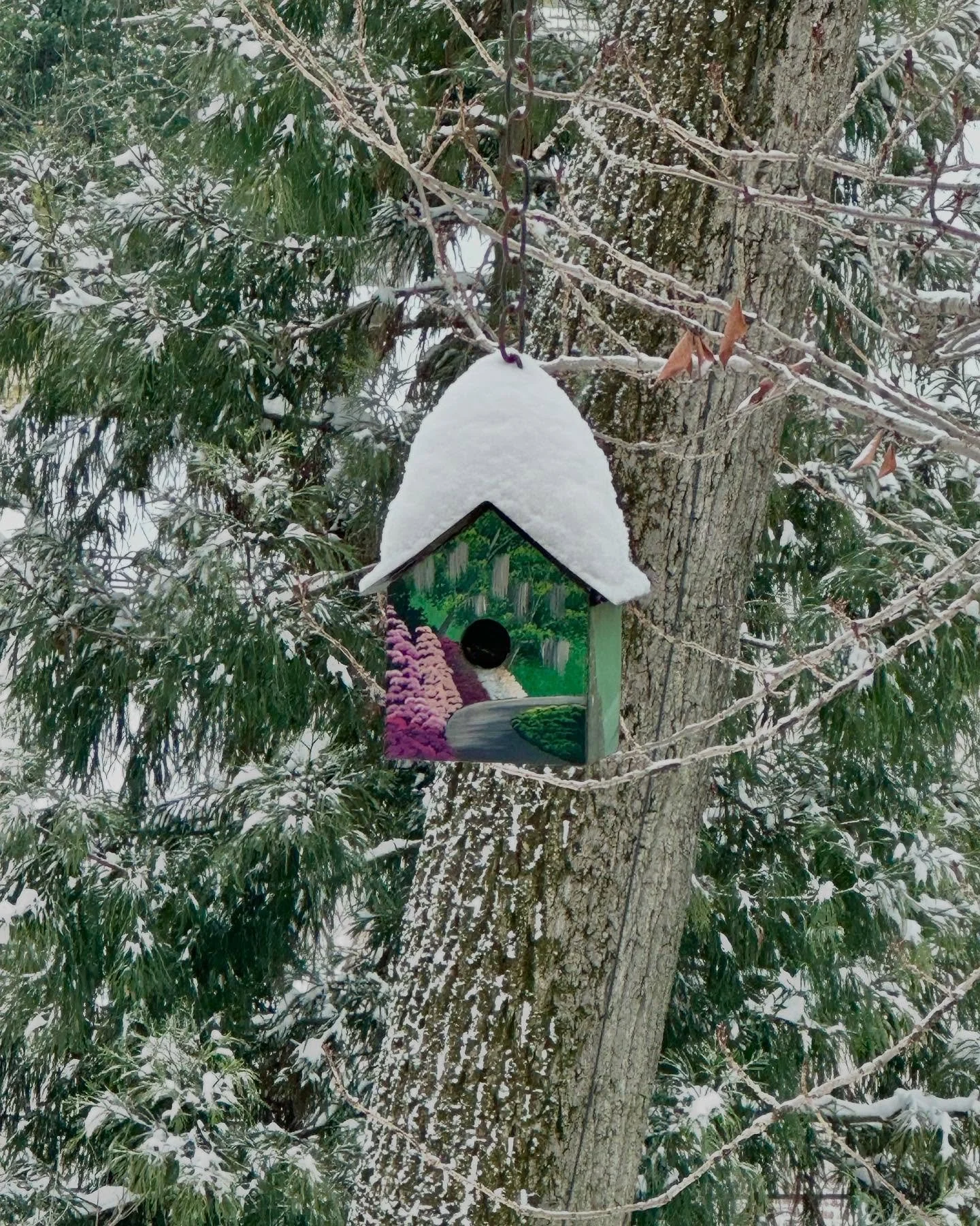 ❄️ Hope you’re having 🪺 a cozy adorable day ❄️