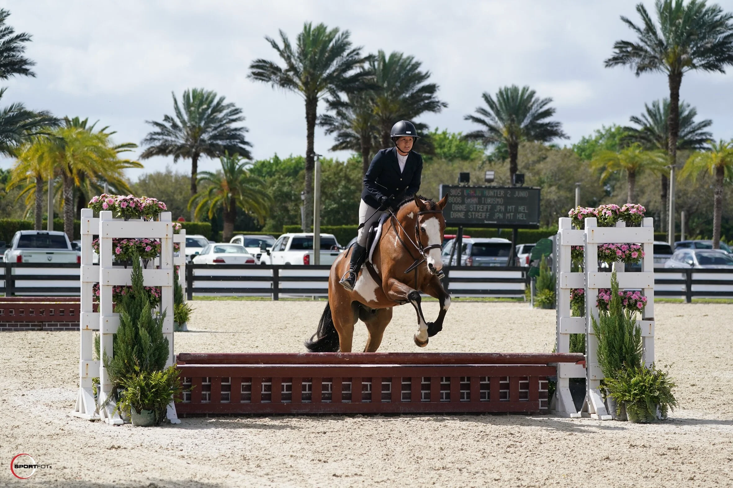 Picture of YHJA Vice President Dee Dee Streiff jumping her paint horse Grant at a horse show.