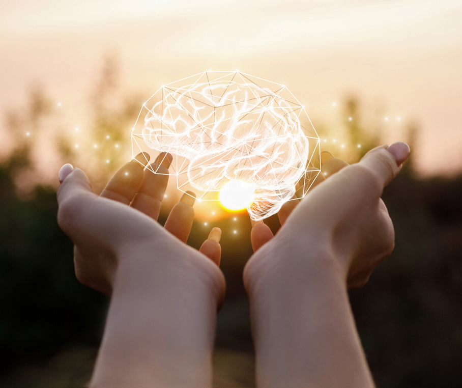 The Grateful Brain: How gratitude changes your brain. And your life.