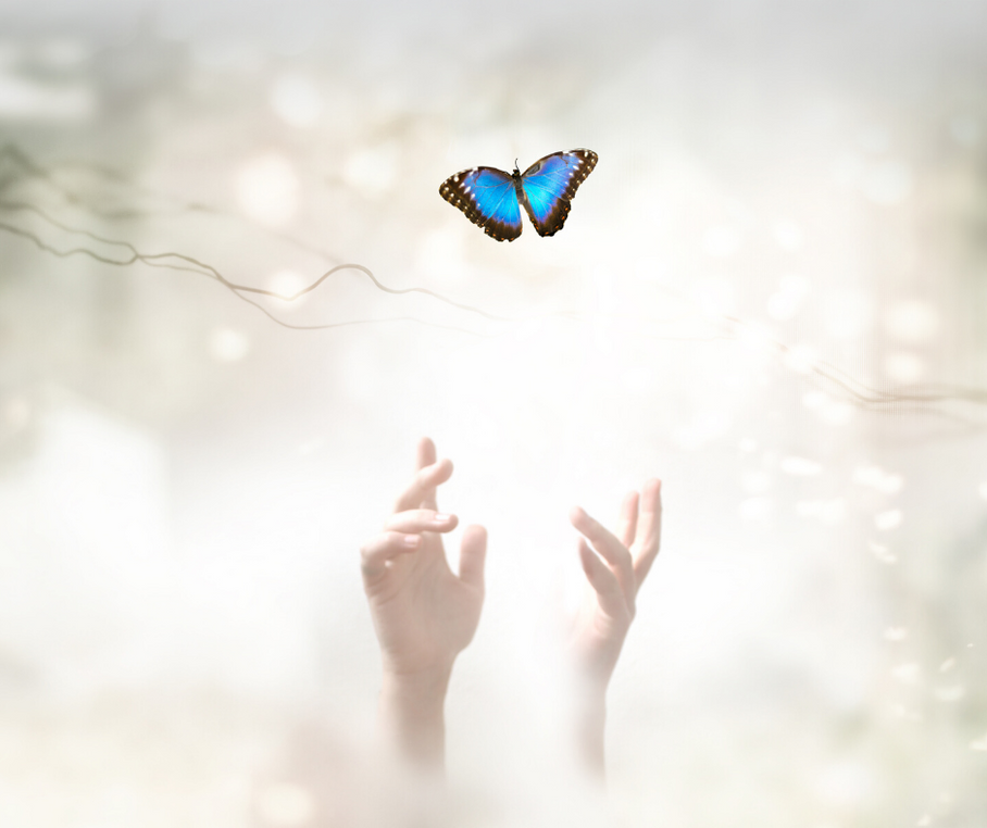 The Faith (&amp; Science) of Forgiveness