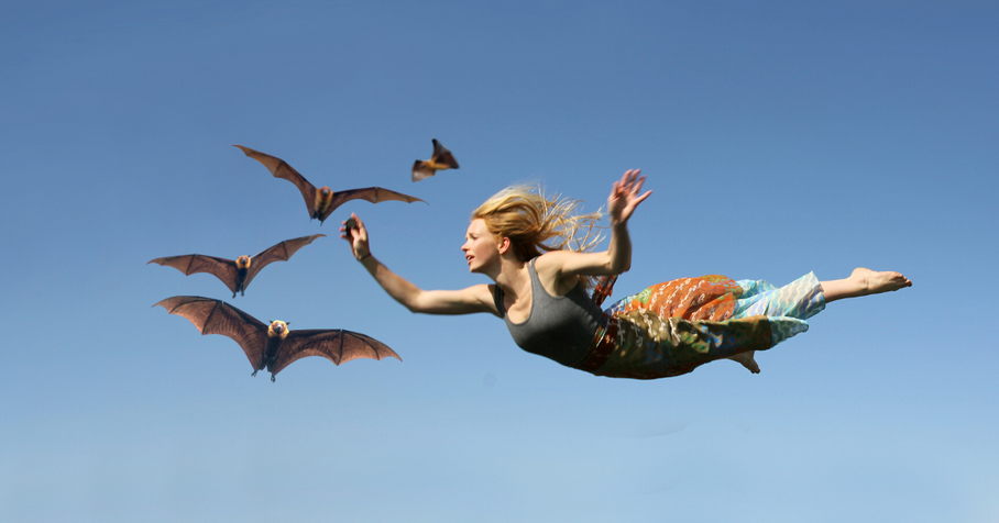 It's Not the Failure We Fear: My lesson from bats.