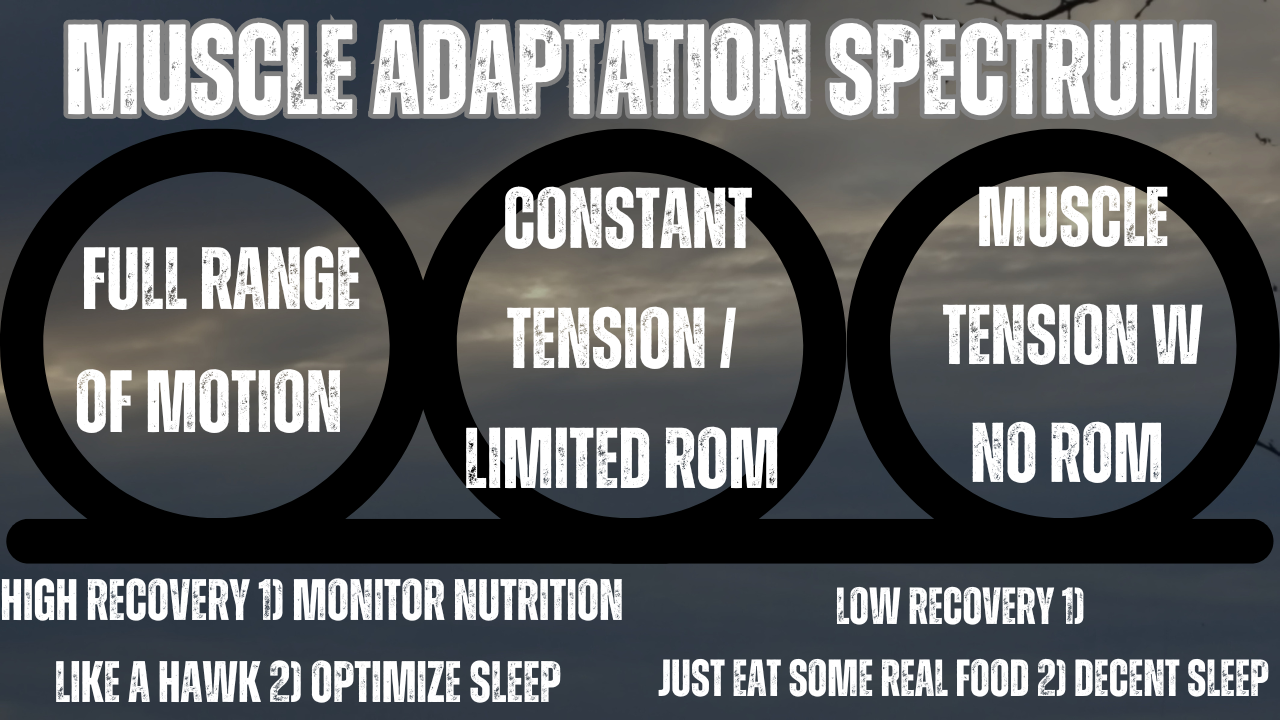 Muscle Adaptation Spectrum.png