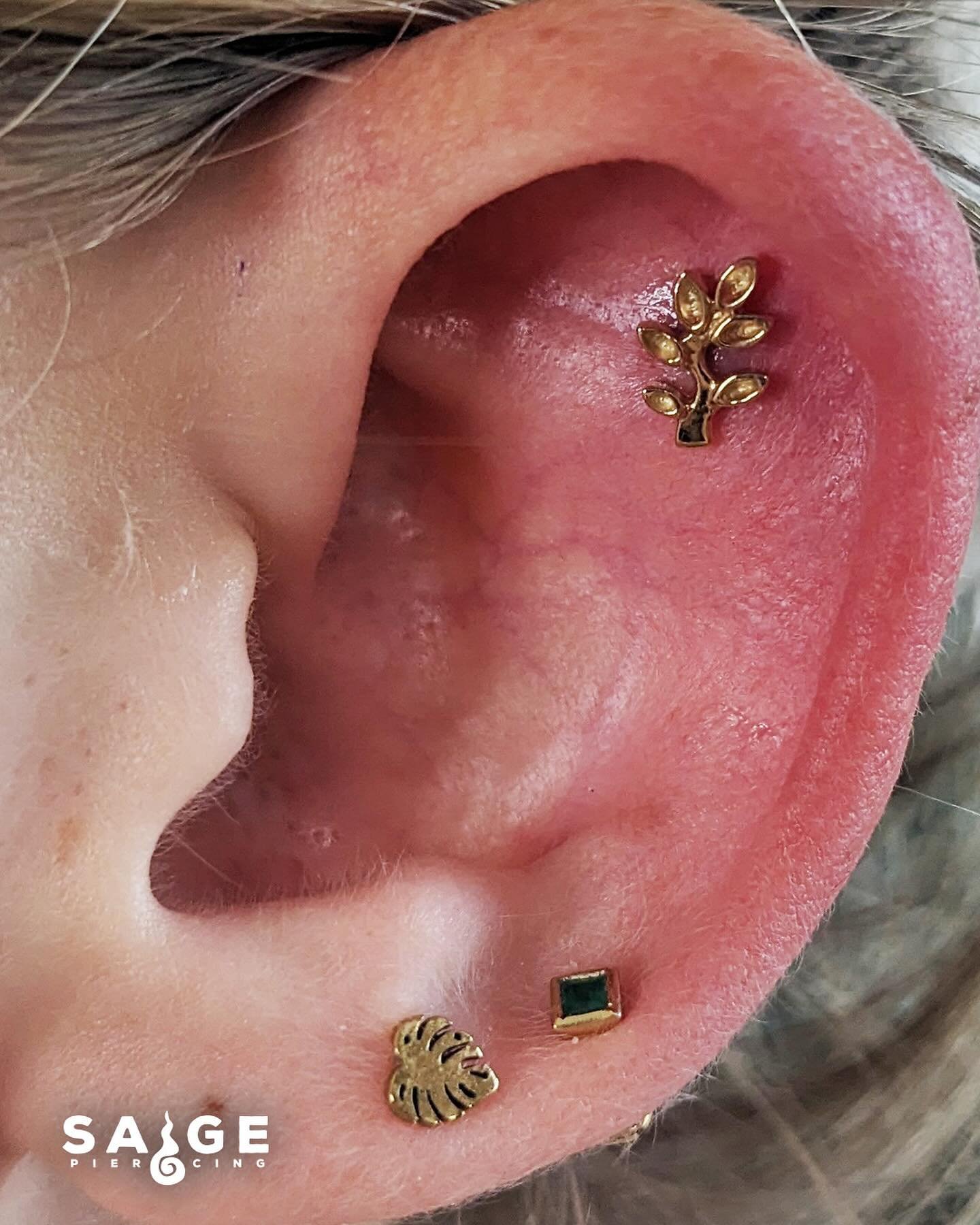 Flat piercing with 14k gold Frond from @tawapa 

Septum piercing with the Apex genuine diamond ring from @tawapa 

#ColoradoBusiness #SmallBusinessColorado #ShopLocalColorado #ColoradoEntrepreneur #SupportLocalCO #ColoradoLife #LocalBusinessCO #Denve