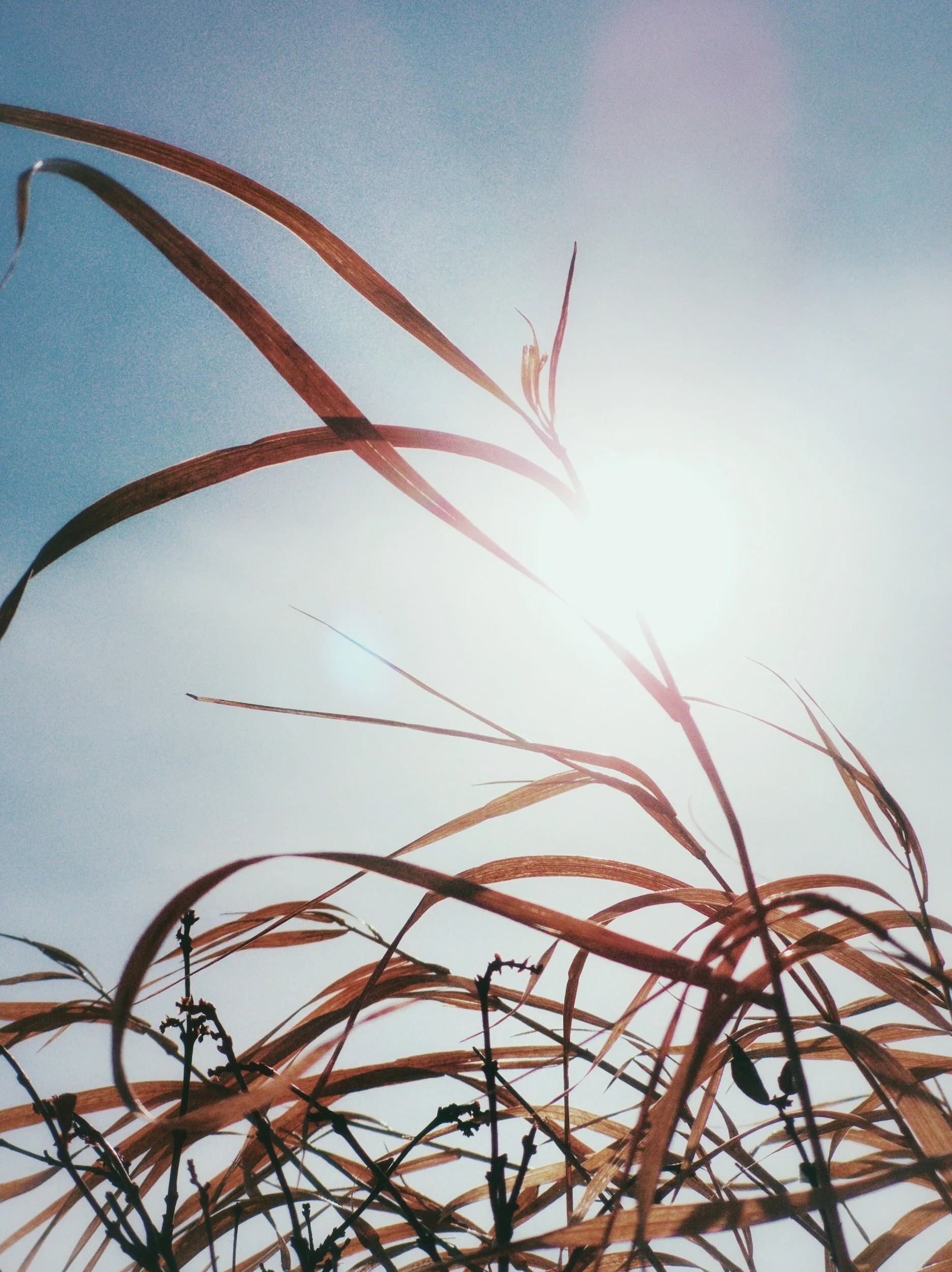 Prepare Our Hearts: Diving Deeper