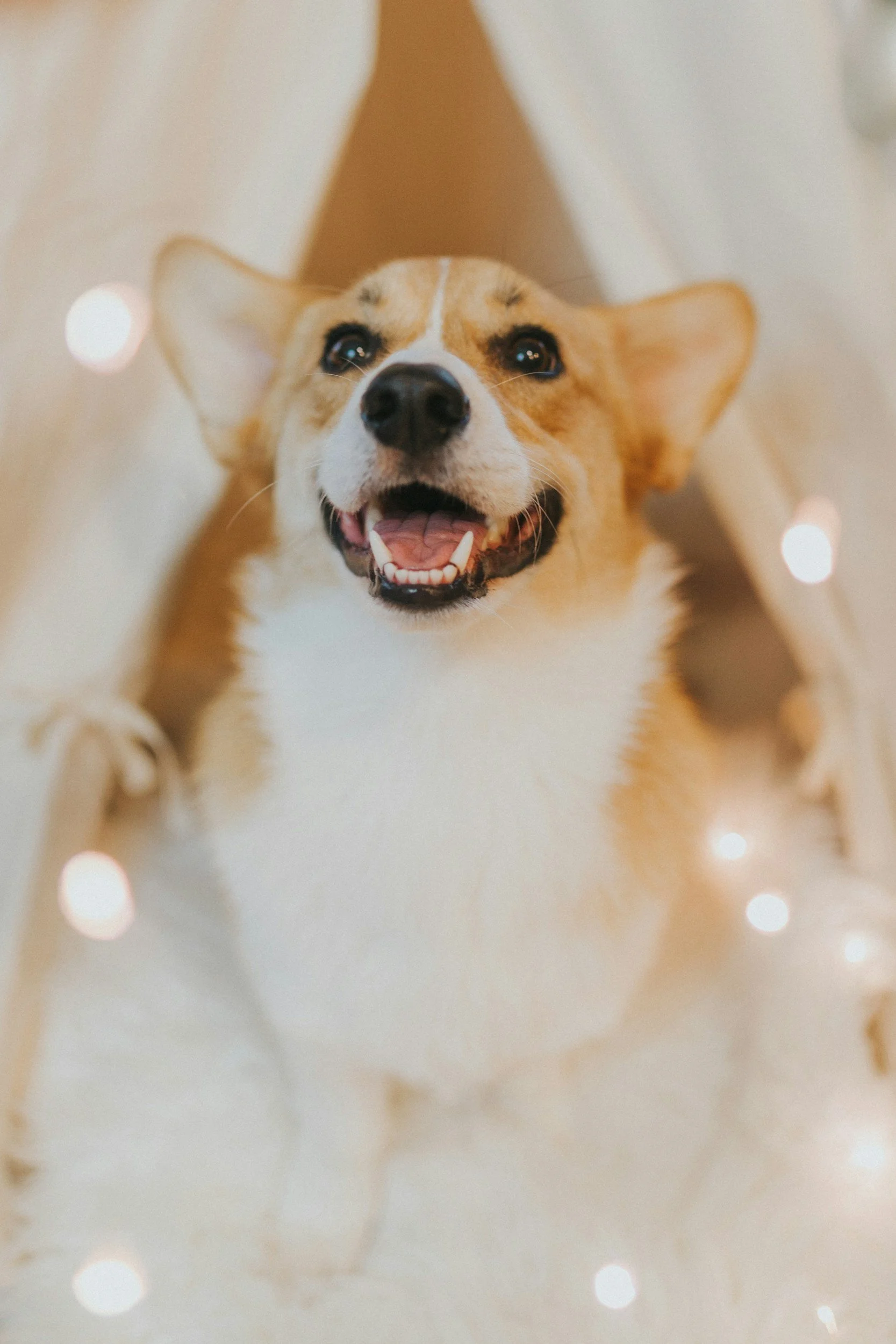 unsplash-image-qNJpGSCv_Jc.jpg