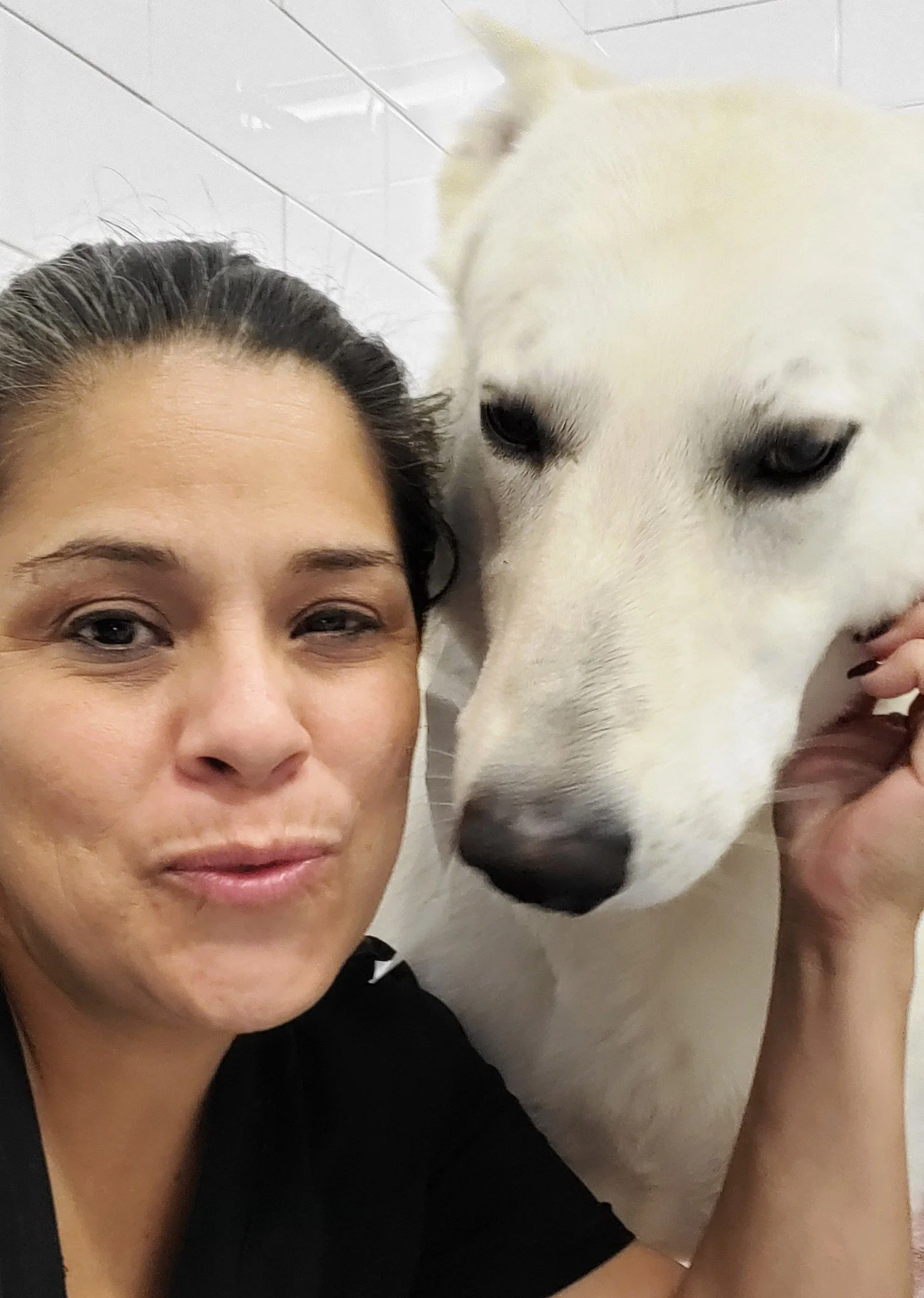 About Us — Granger Veterinary Hospital