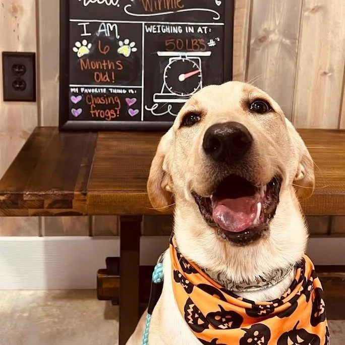 Gallery 1 — Granger Veterinary Hospital