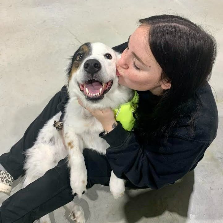 Gallery 1 — Granger Veterinary Hospital