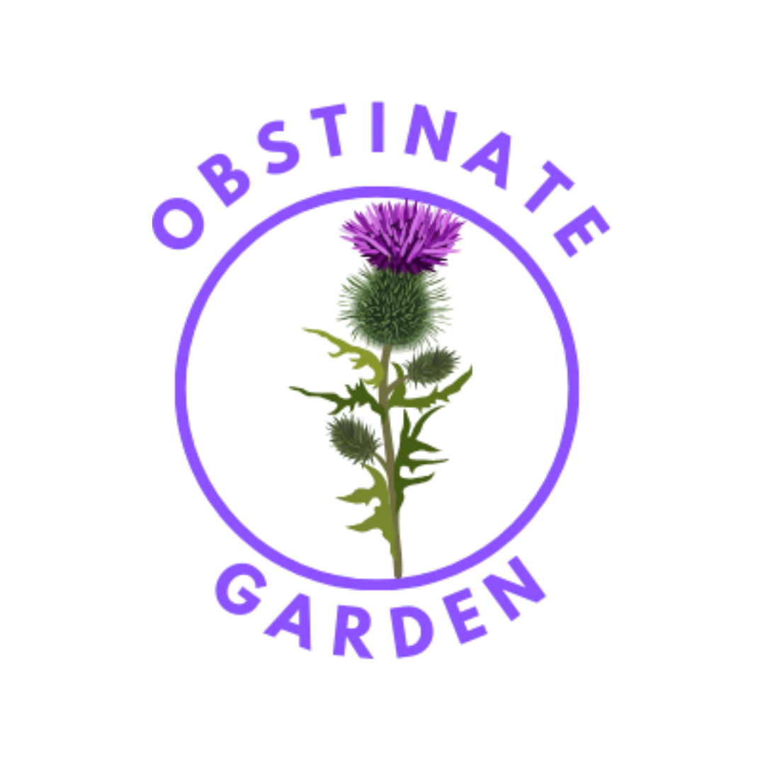 Community Partner 2026