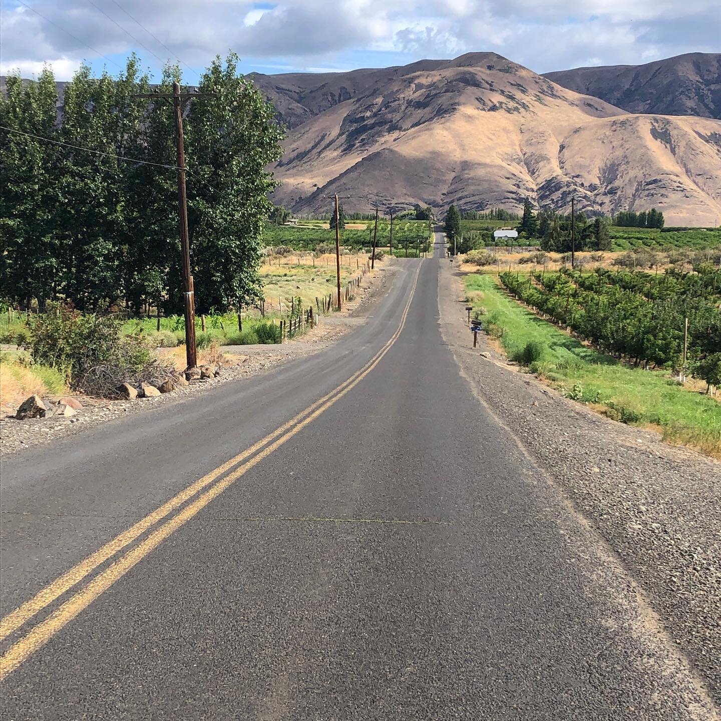 I know every inch of the 25 and 50 mile routes on this year&rsquo;s Tour de Tieton bike rides. There&rsquo;s not a foot I don&rsquo;t love. Sharing the vistas, the freedom, and the pure joy of these roads is what this event is about. Saturday, June 1