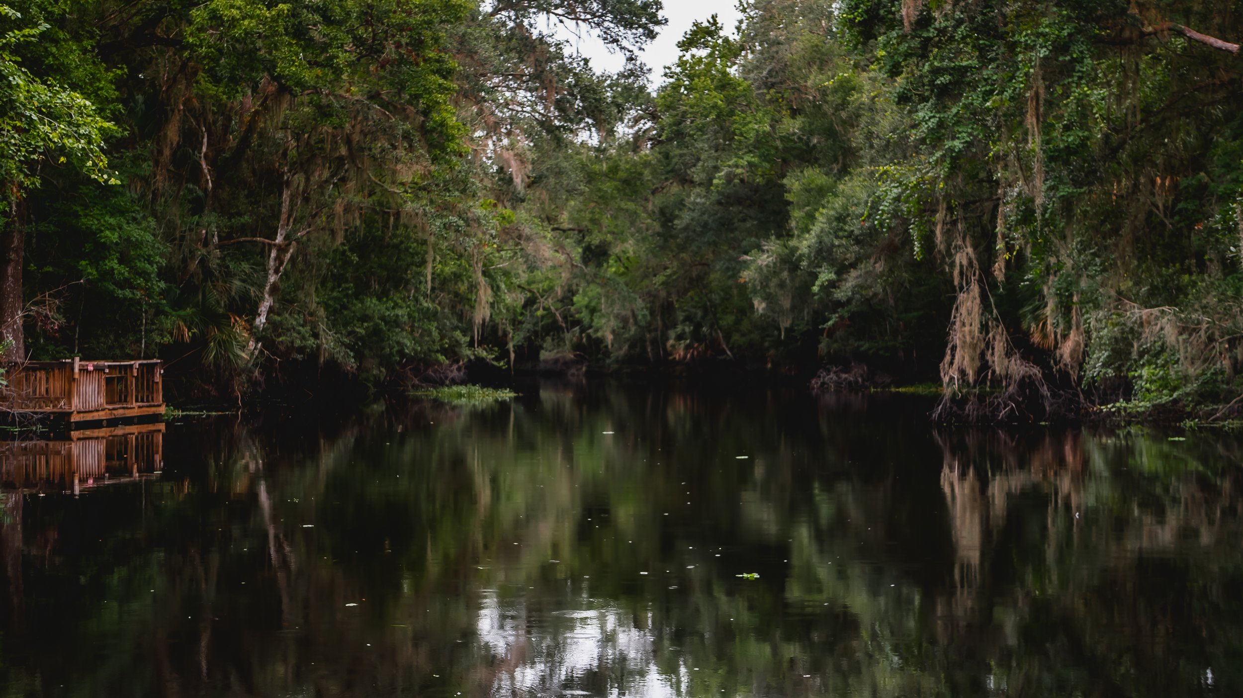 A tranquil river scene with dense, lush green trees and vegetation on both sides, reflecting in the calm, dark water. There is a small wooden deck or platform on the left, partially obscured by the foliage.