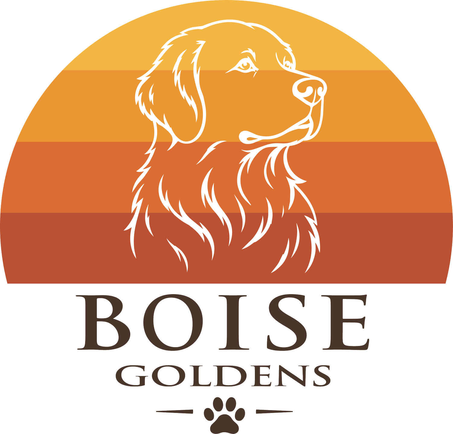 Boise Goldens
