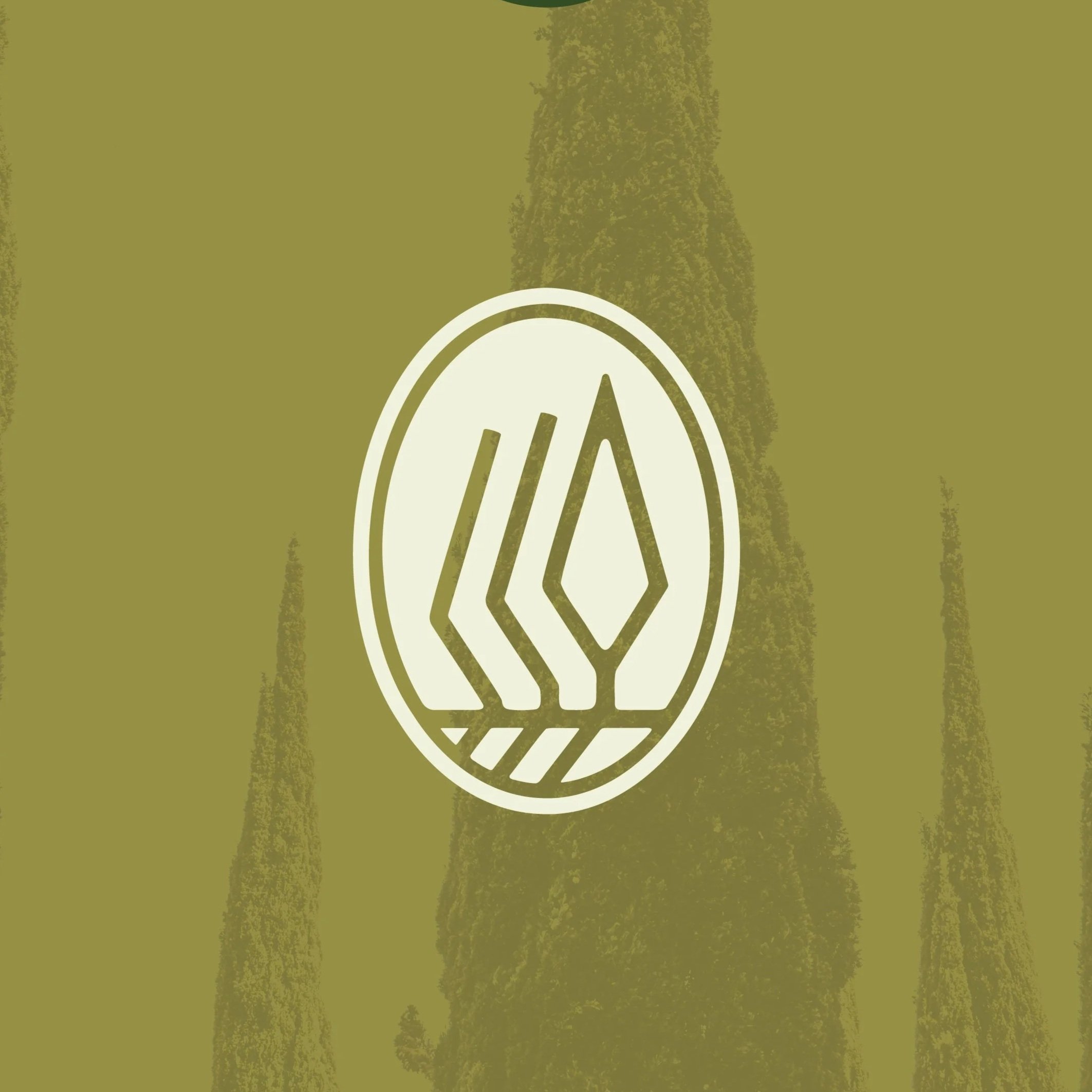 socials-Cypress+Holdings.jpg