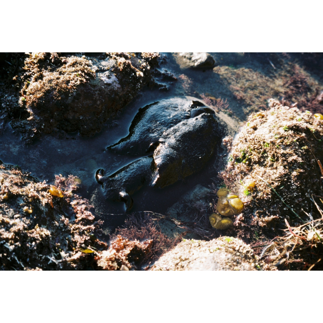 57A02742-344E-4192-A670-0E8BE5980D09.png