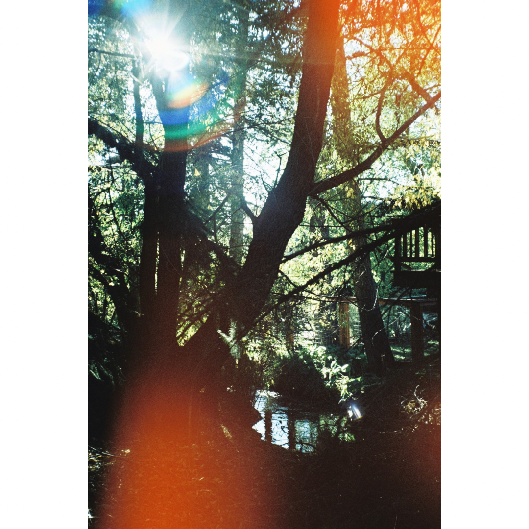 21A5F2B4-1996-4708-B15A-189E1BF3886E.png