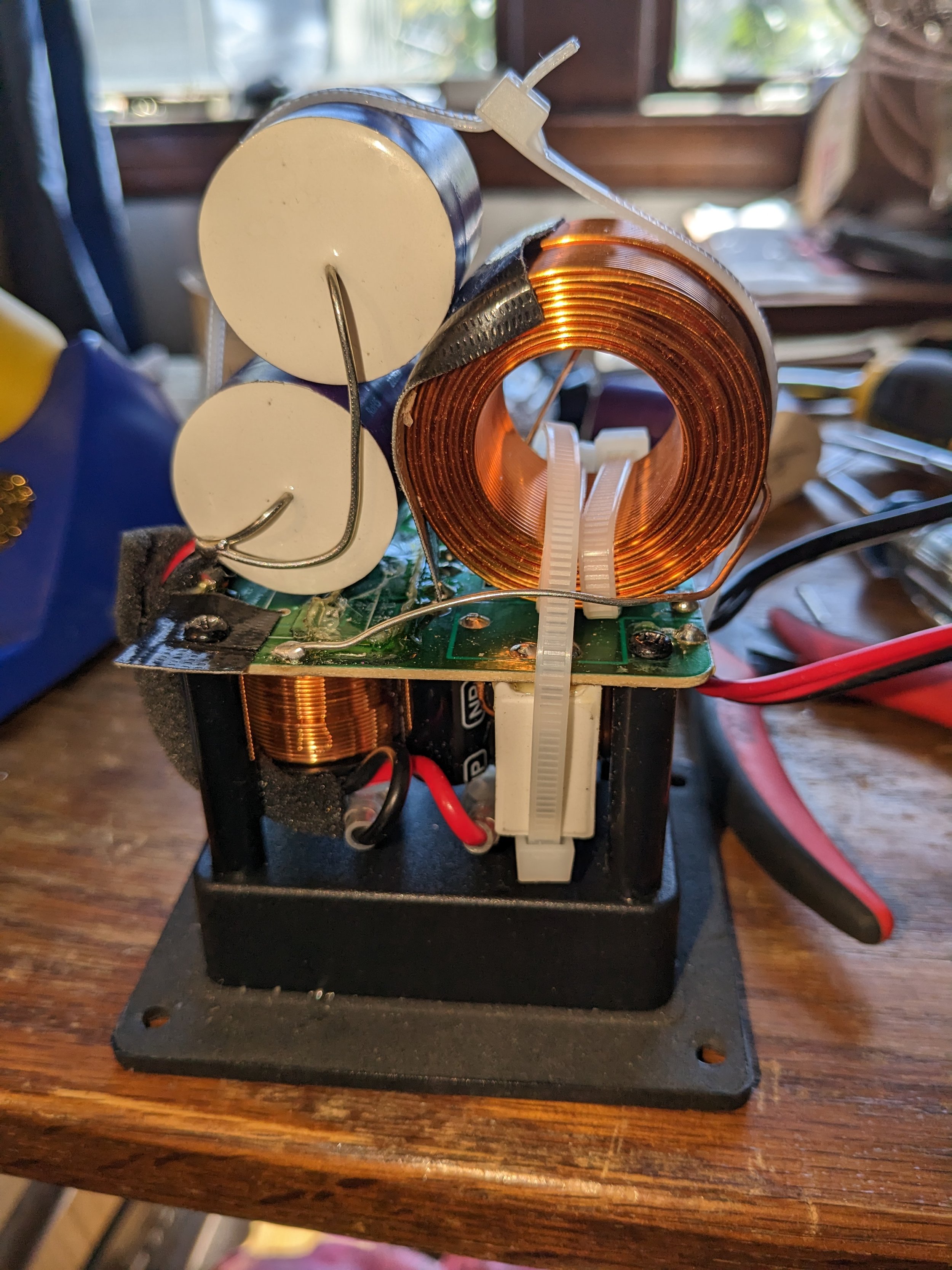 PXL_20230409_175419805.jpg