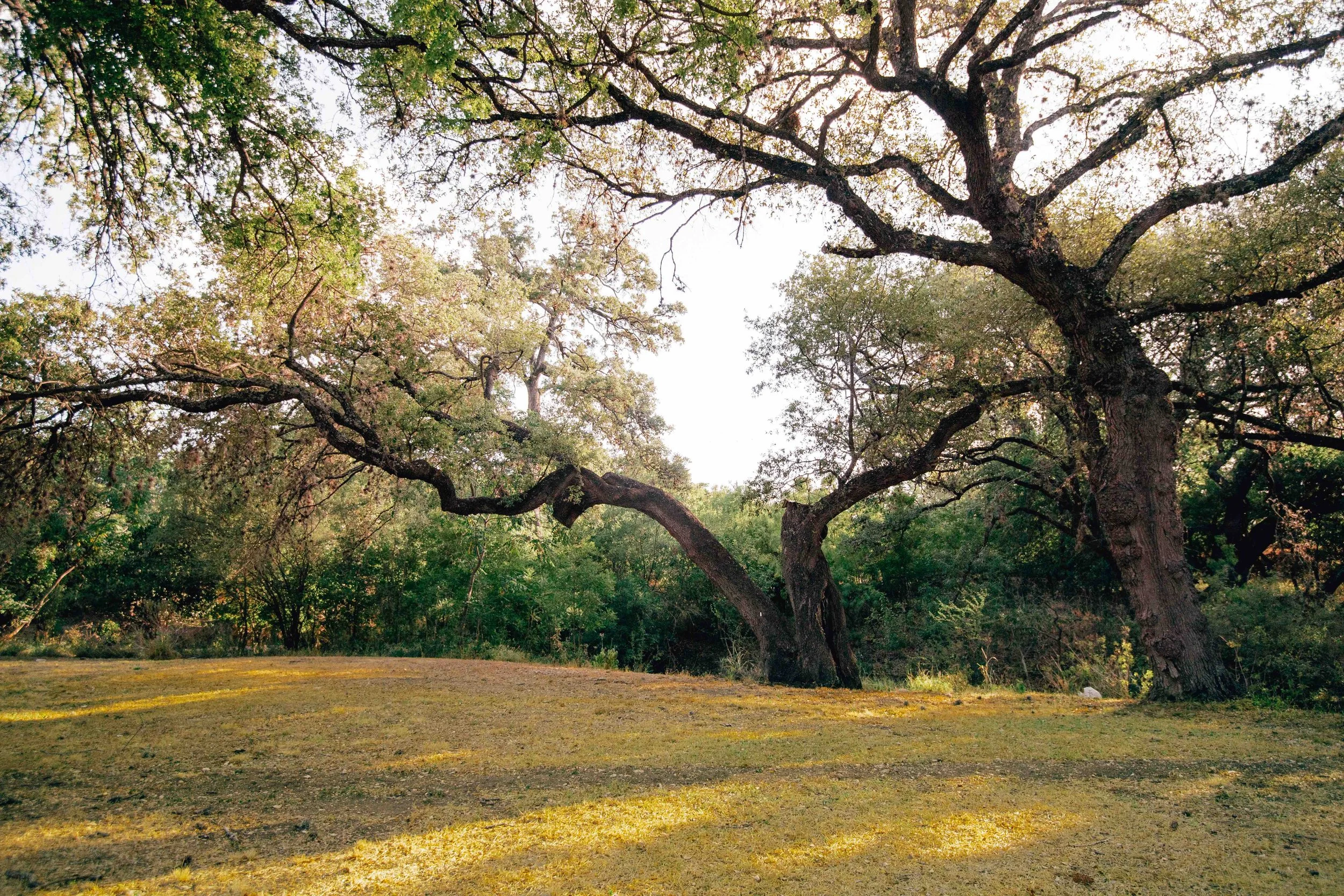 Services 3 — Aggie Park Event Center