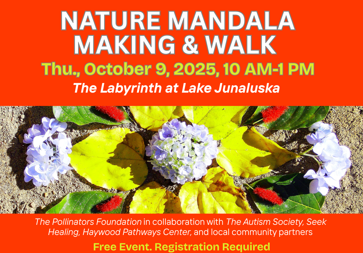 World Mental Health Day: Nature Mandala-Making & Walk at Lake Junaluska