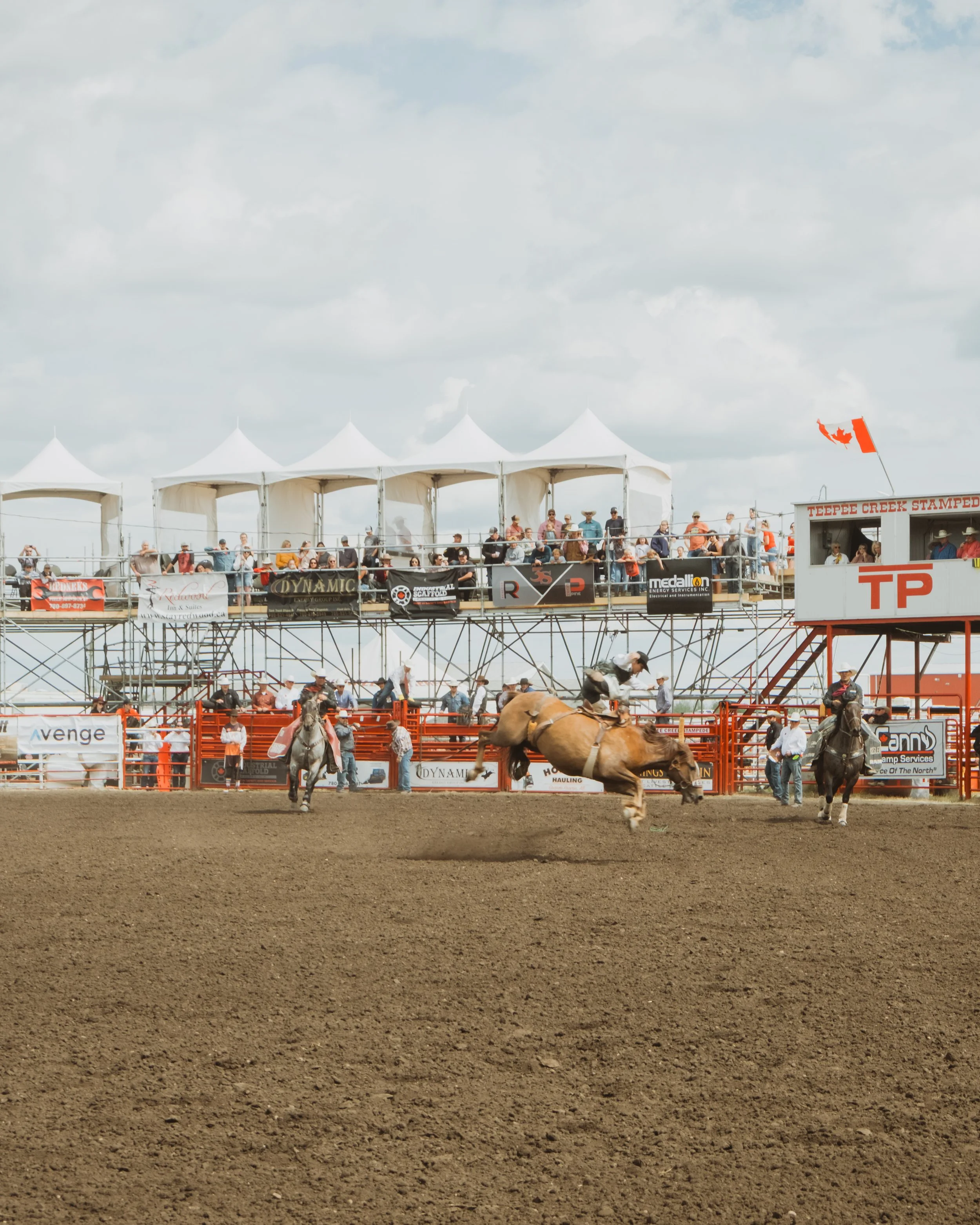 rodeo-event-photography-bucking-brown-horse.jpg