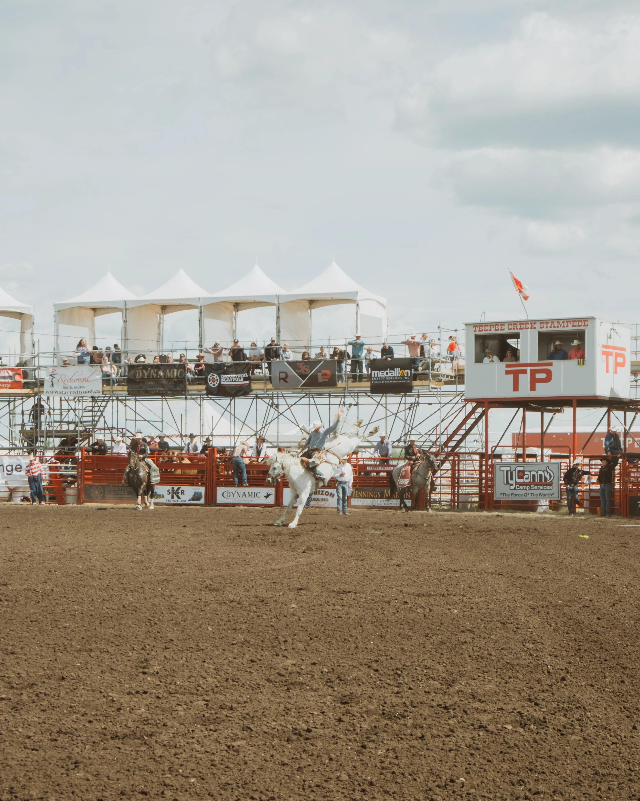 western-event-photography-white-horse-bucking.jpg