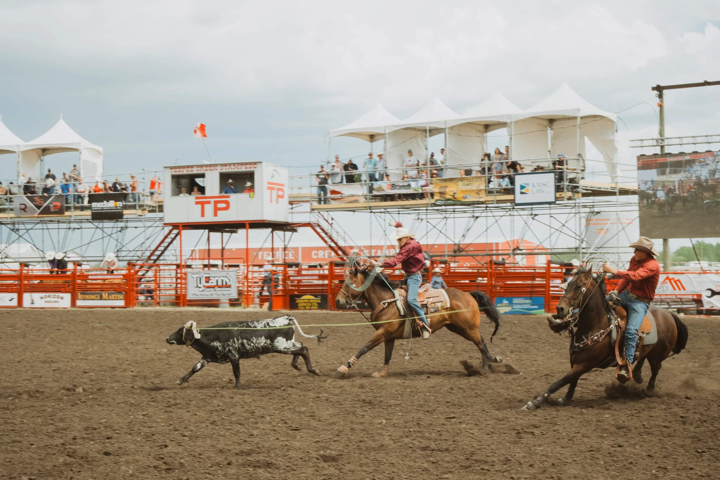 rodeo-event-photography-rope-overhead.jpg