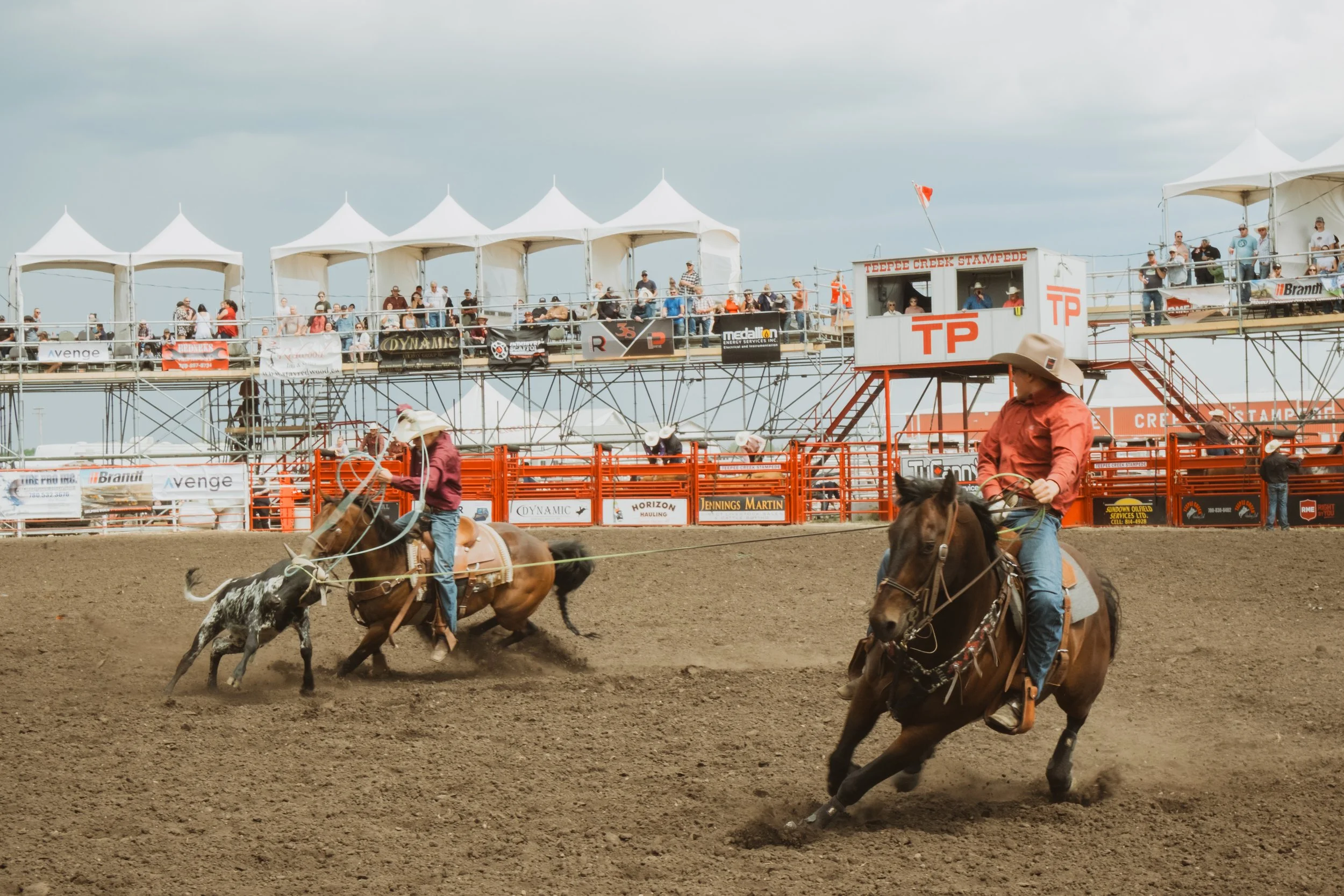 western-rodeo-photography-calf-teamwork.jpg