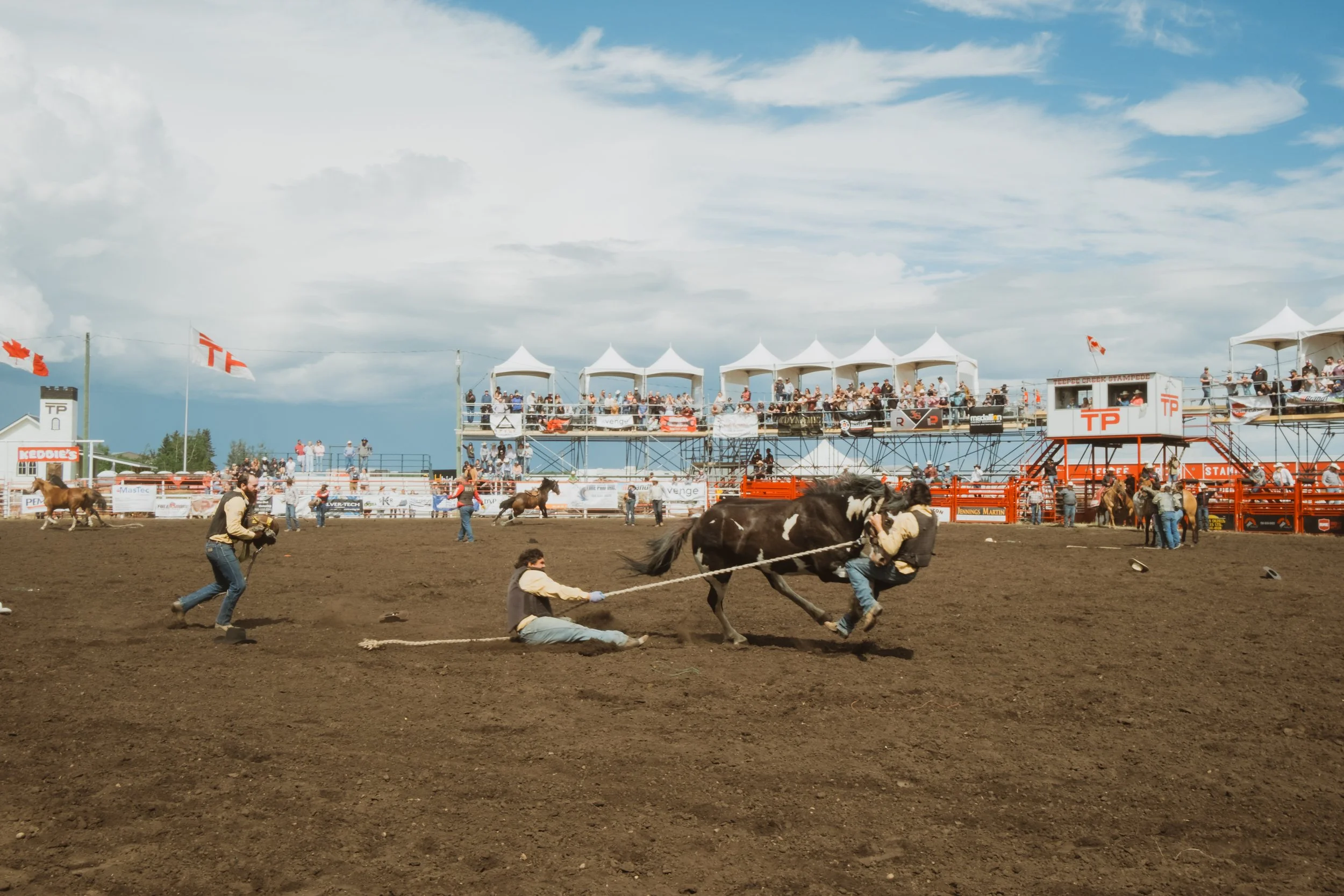 rodeo-event-photography-wild-horse-teamwork.jpg