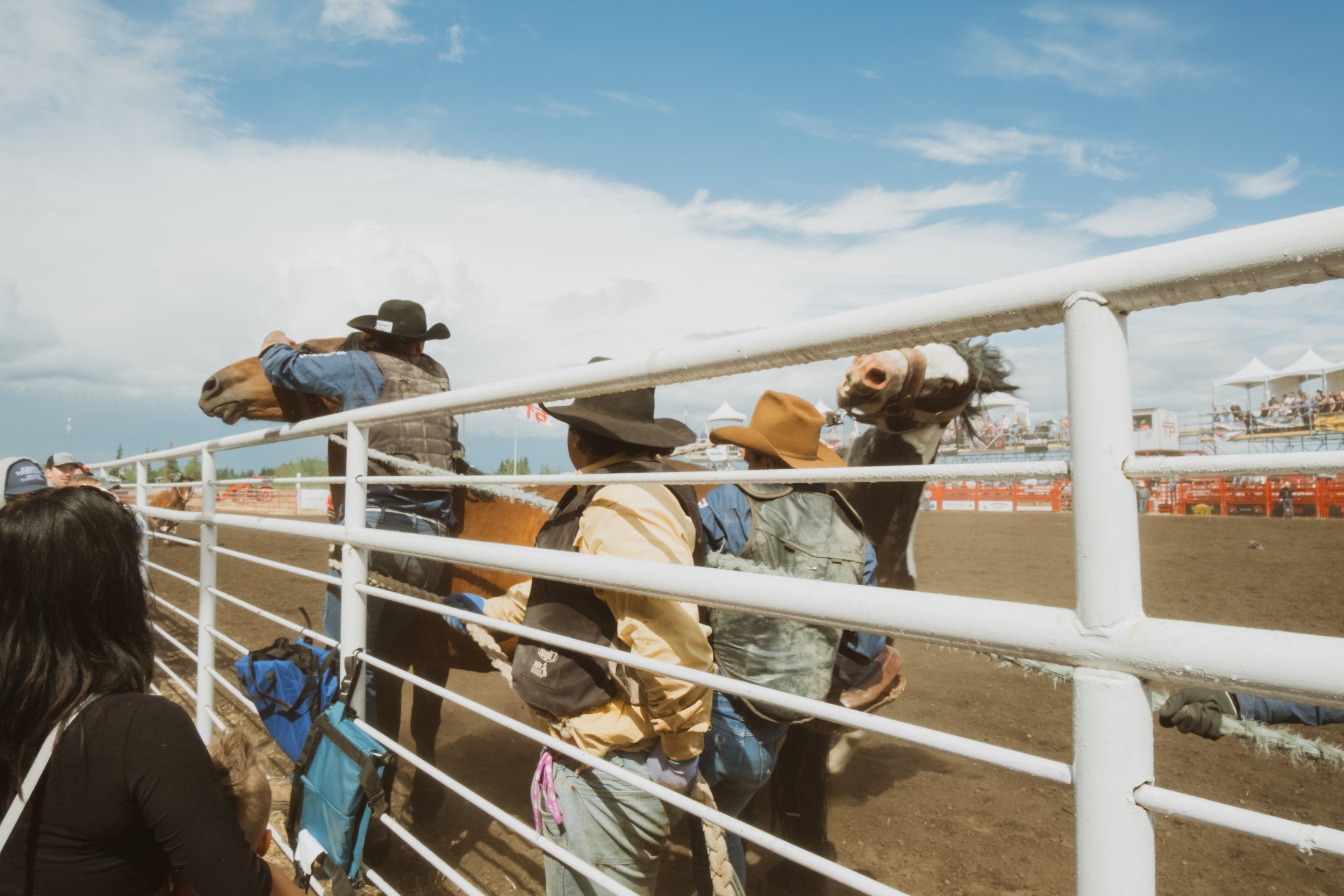 western-event-photography-wild-horses-fence.jpg