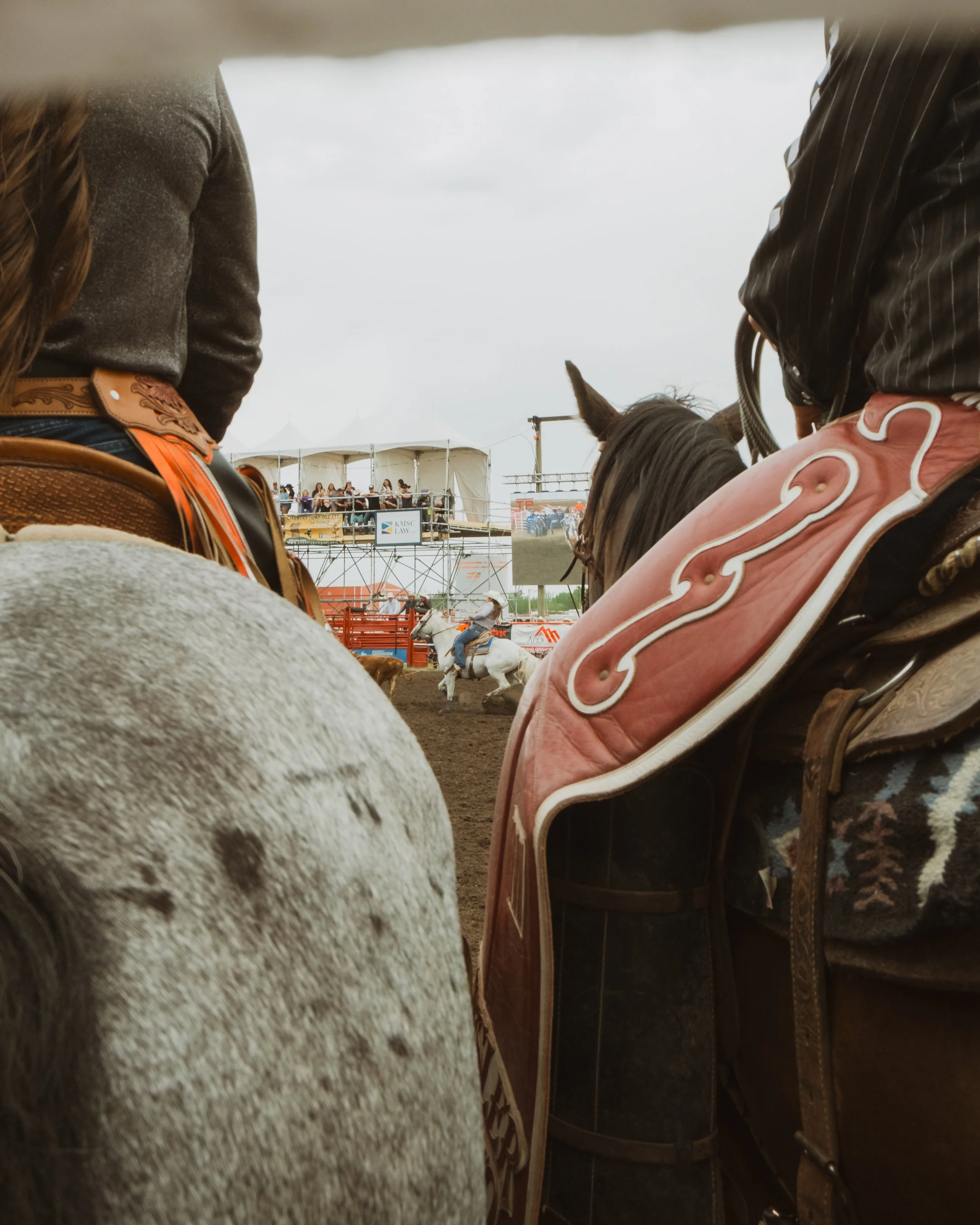 Through the gap between two horses and their riders, a woman riding a white horse appears in the distance at the Teepee Creek Stampede.
