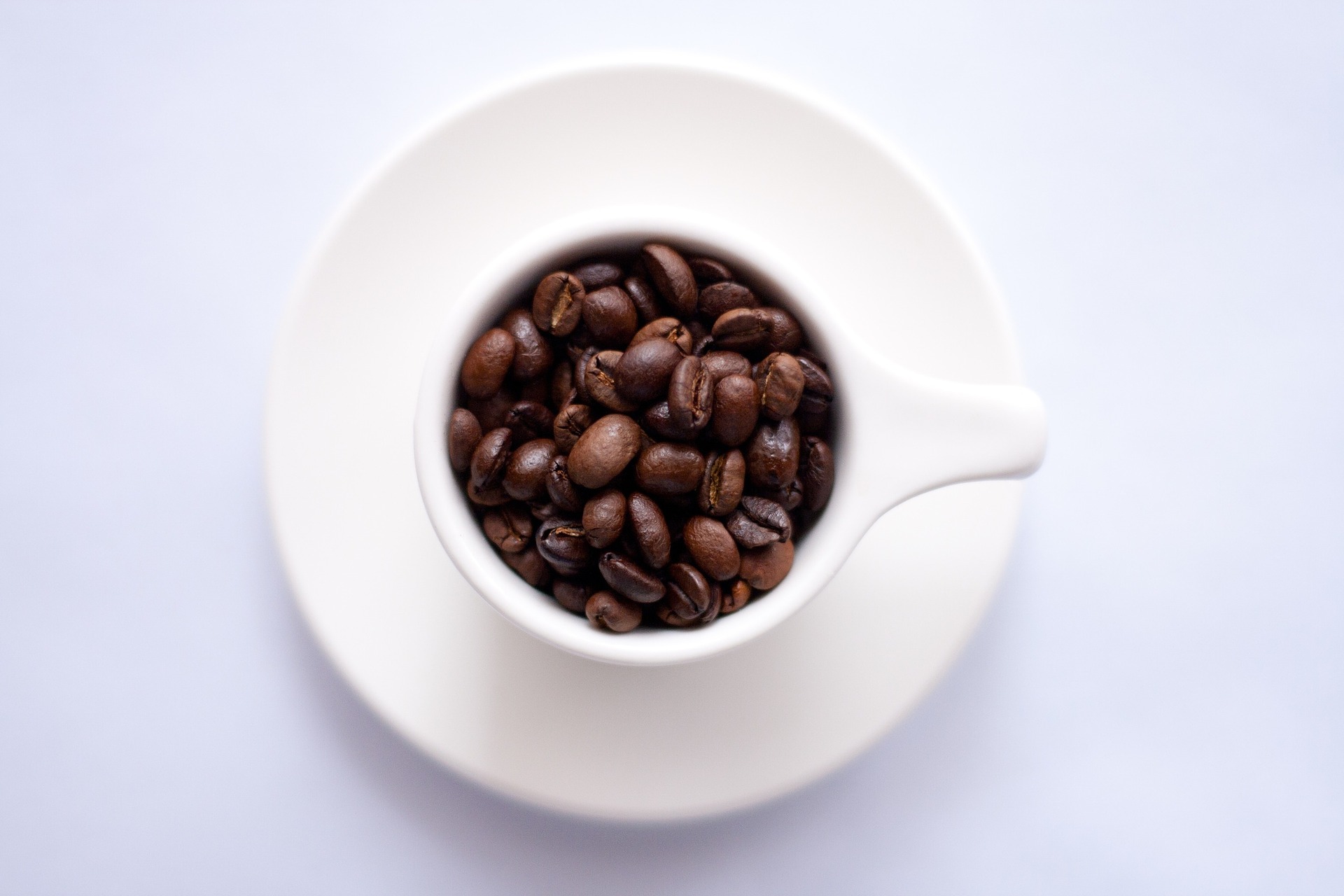 Spill the Beans for the Perfect Kitchen Brief