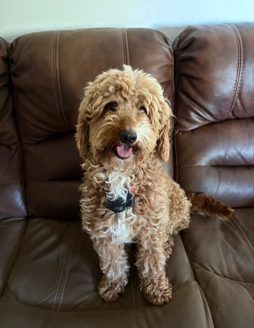 Molly